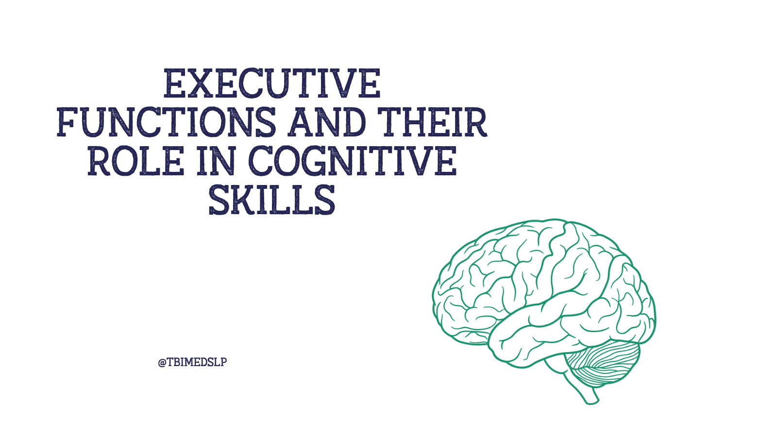 executive functioning skills in adults
