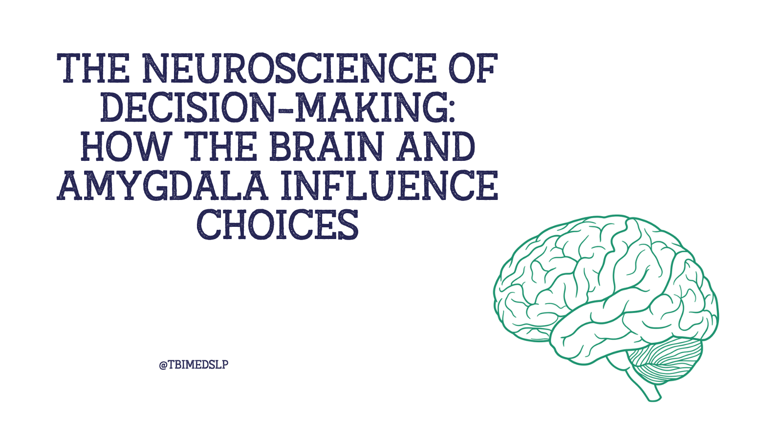 what part of the brain is used for decision making