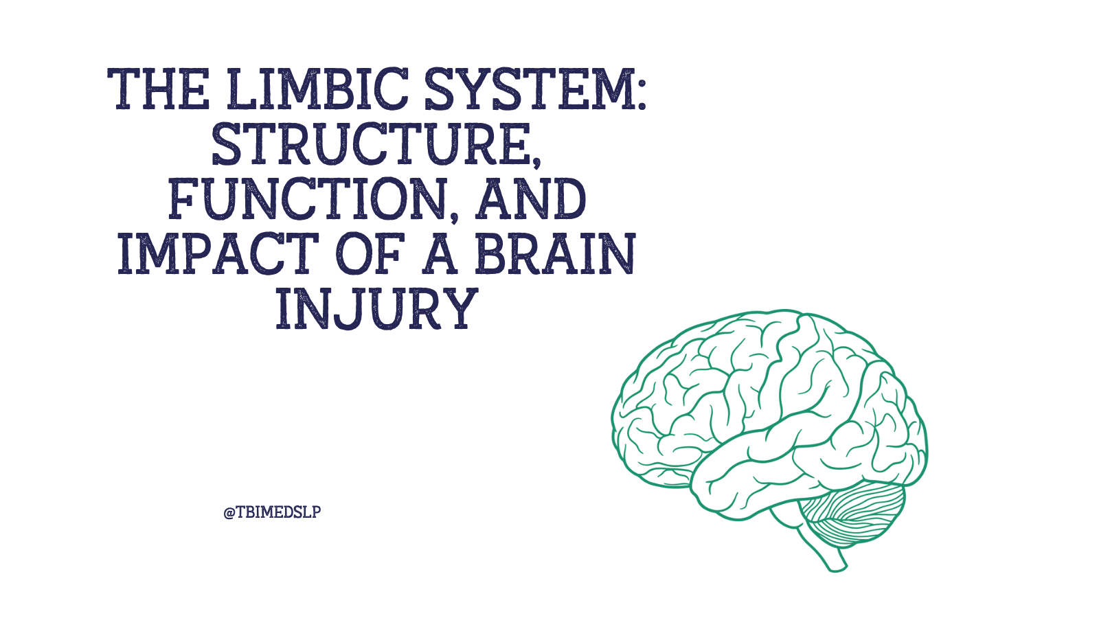 what happens if the limbic system is damaged