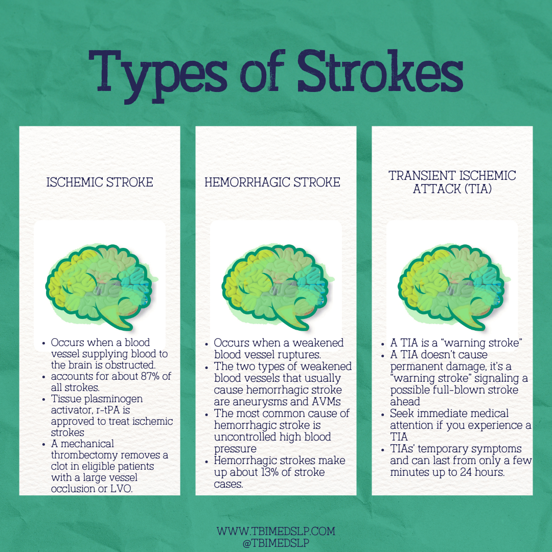 Understanding The Different Types Of Stroke TBI MedSLP