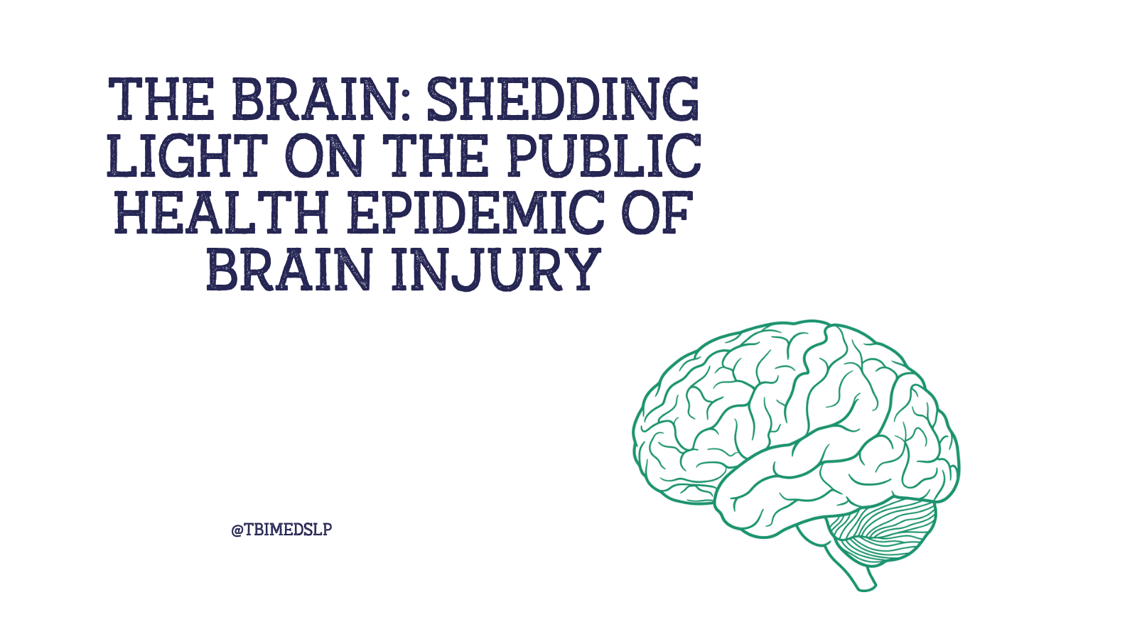 why is tbi called a silent epidemic