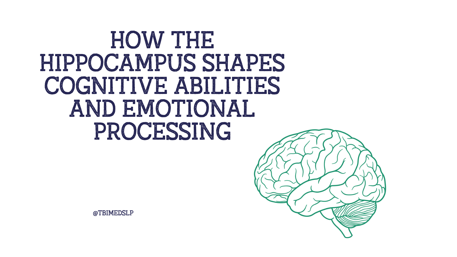 the main functions of the hippocampus in the brain