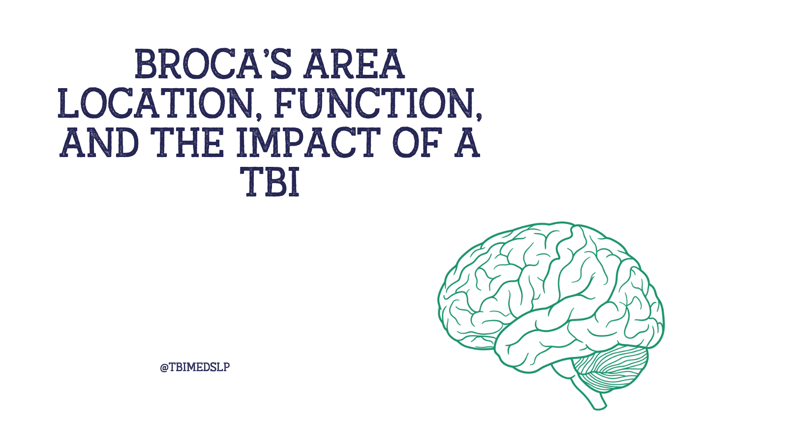 Broca's area of the brain function and location