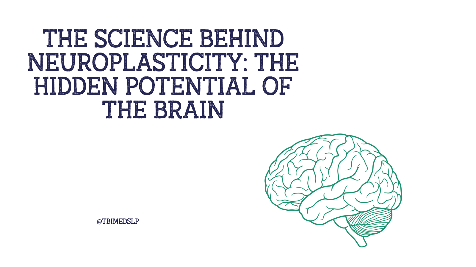 brain cells regenerate from neuroplasticity