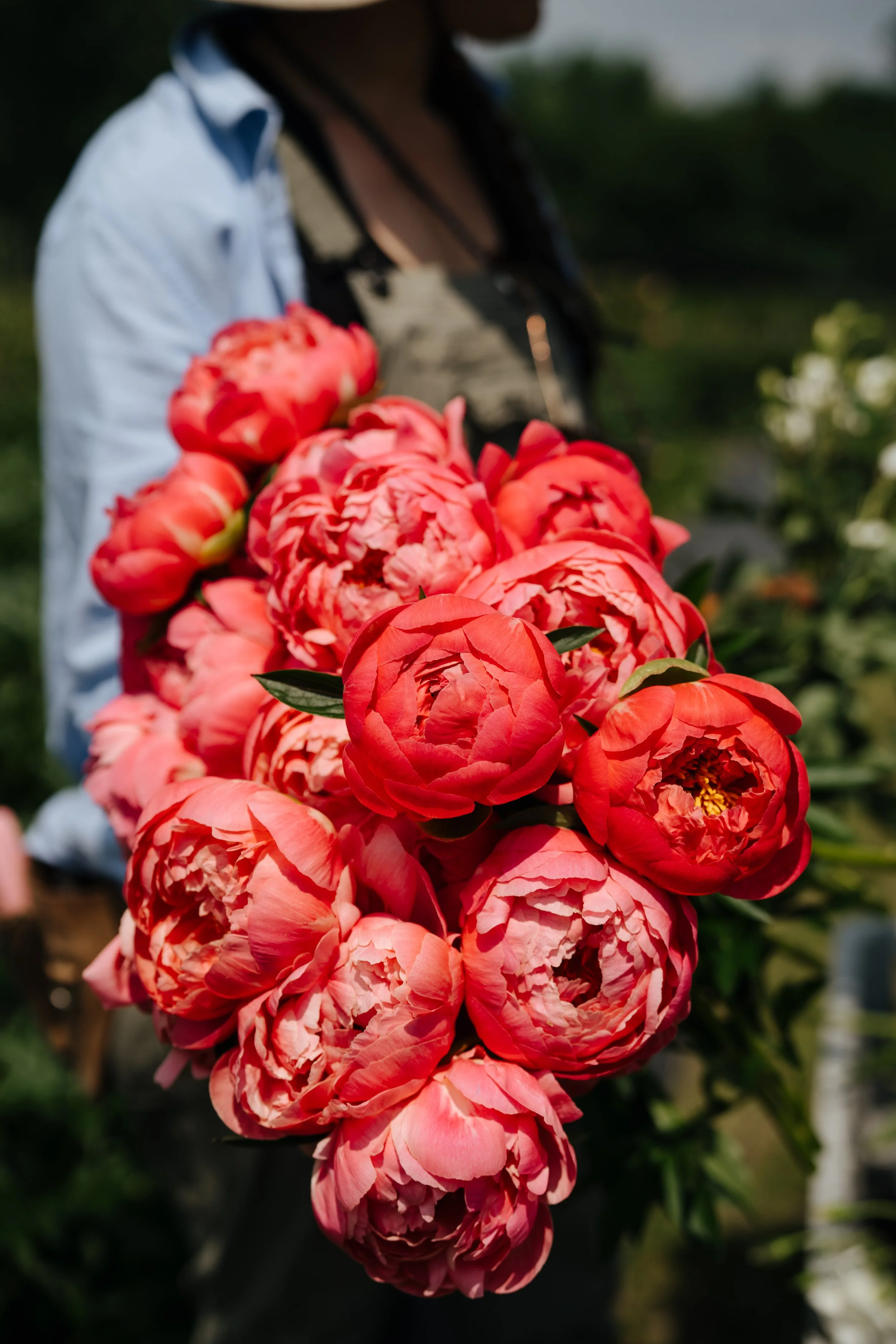 floral design at Little Farmhouse Flowers