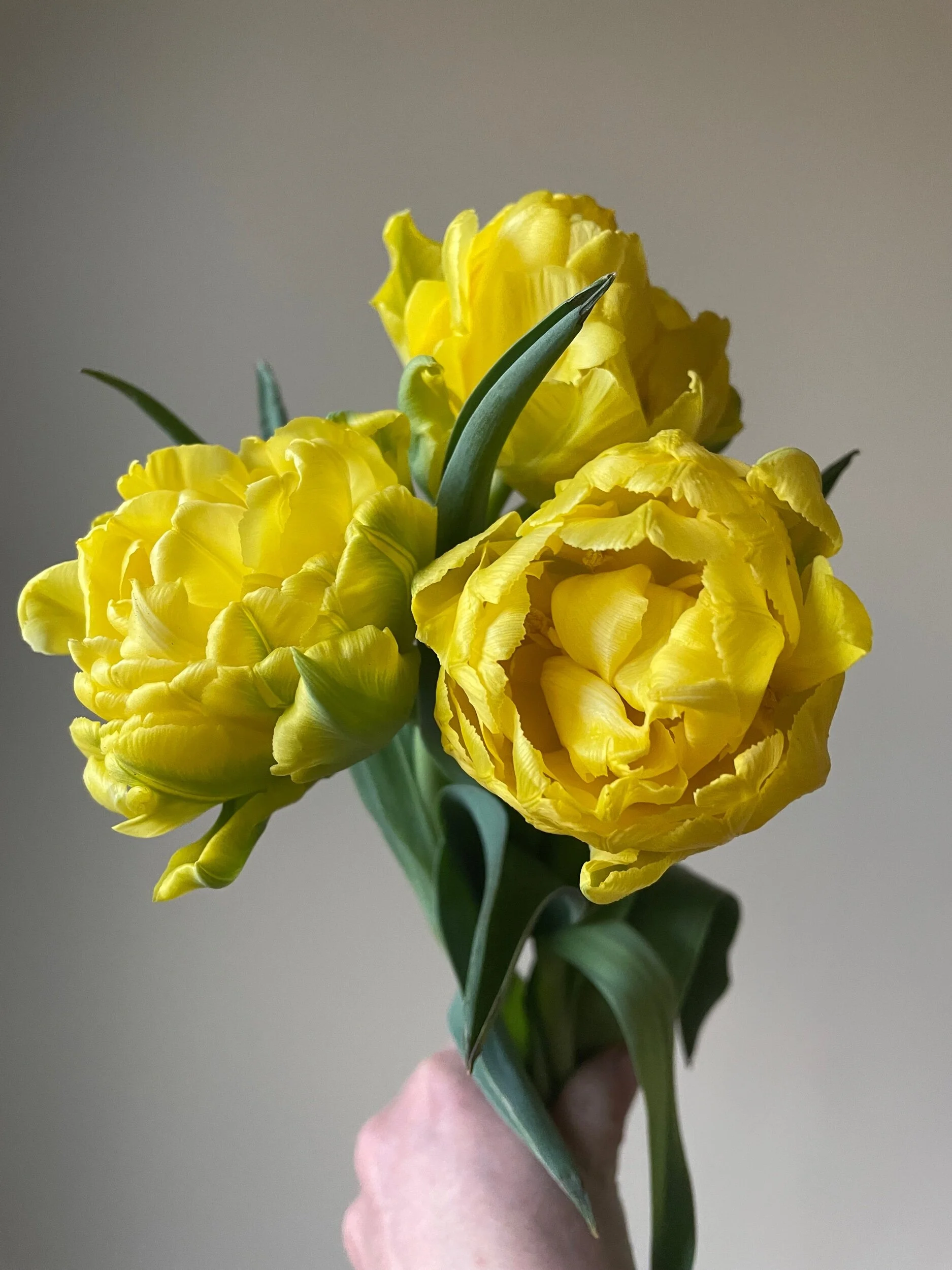 579EC96B-3A8A-4D29-9CD0-8A74633184A6