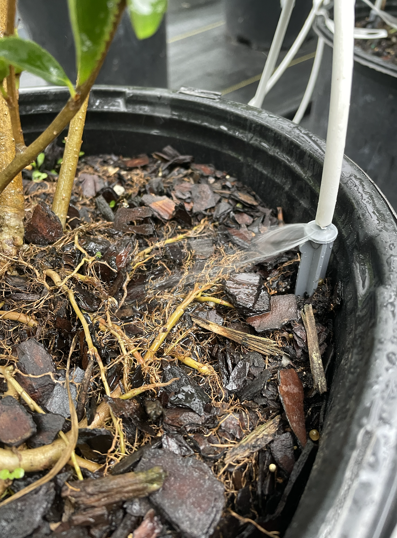 Screenshot 2023-06-24 at 4.27.13 PM.png