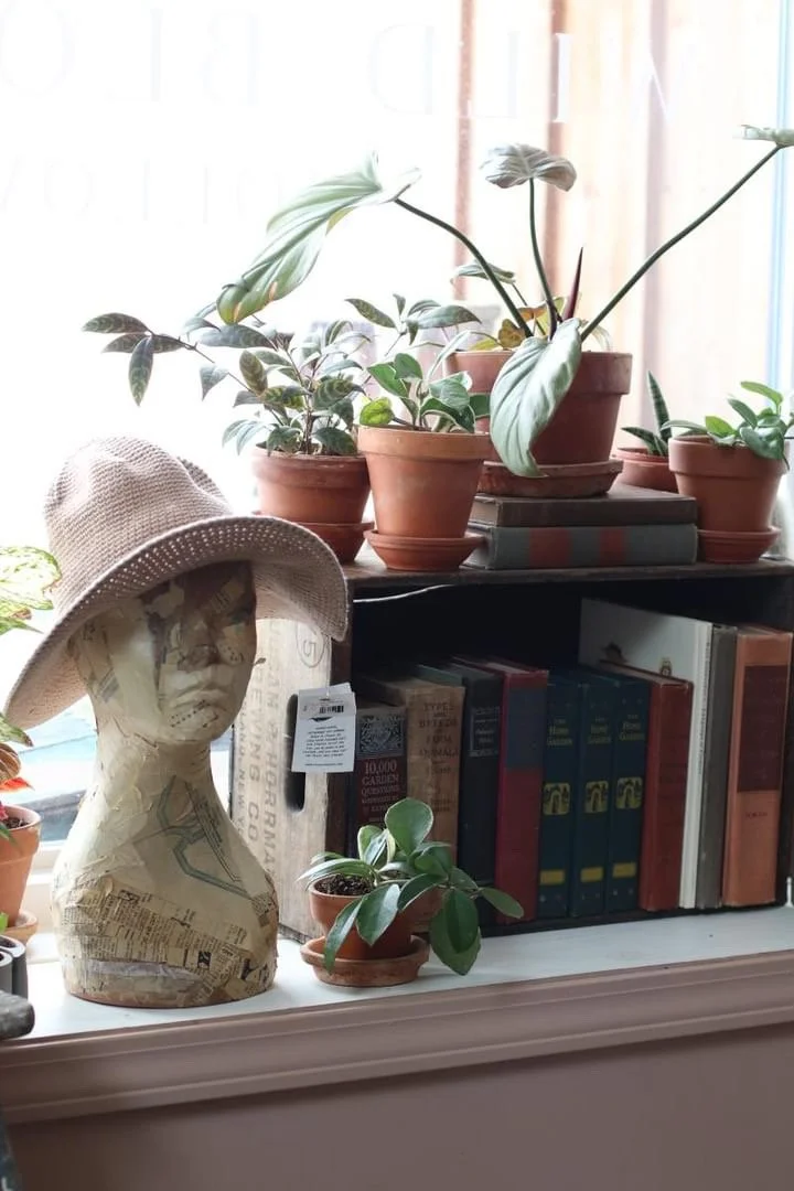 D98434B3-02F8-429D-BF3C-E9AB4C45D857 2.JPG