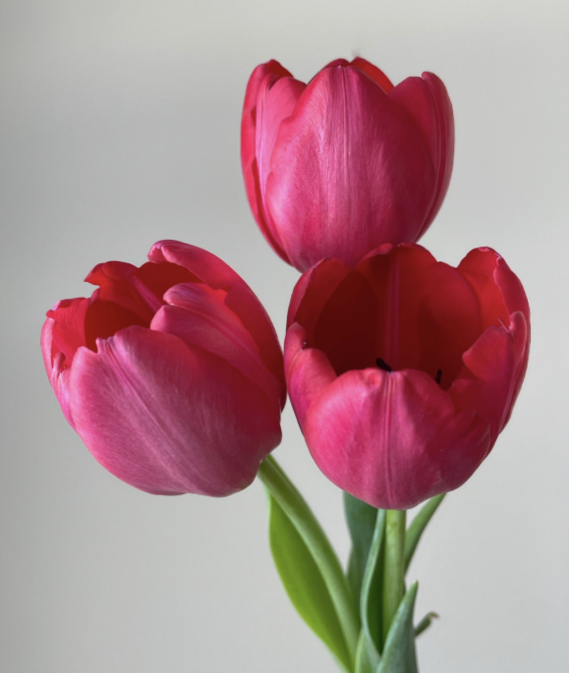 Screenshot 2023-09-23 at 4.38.02 PM.png