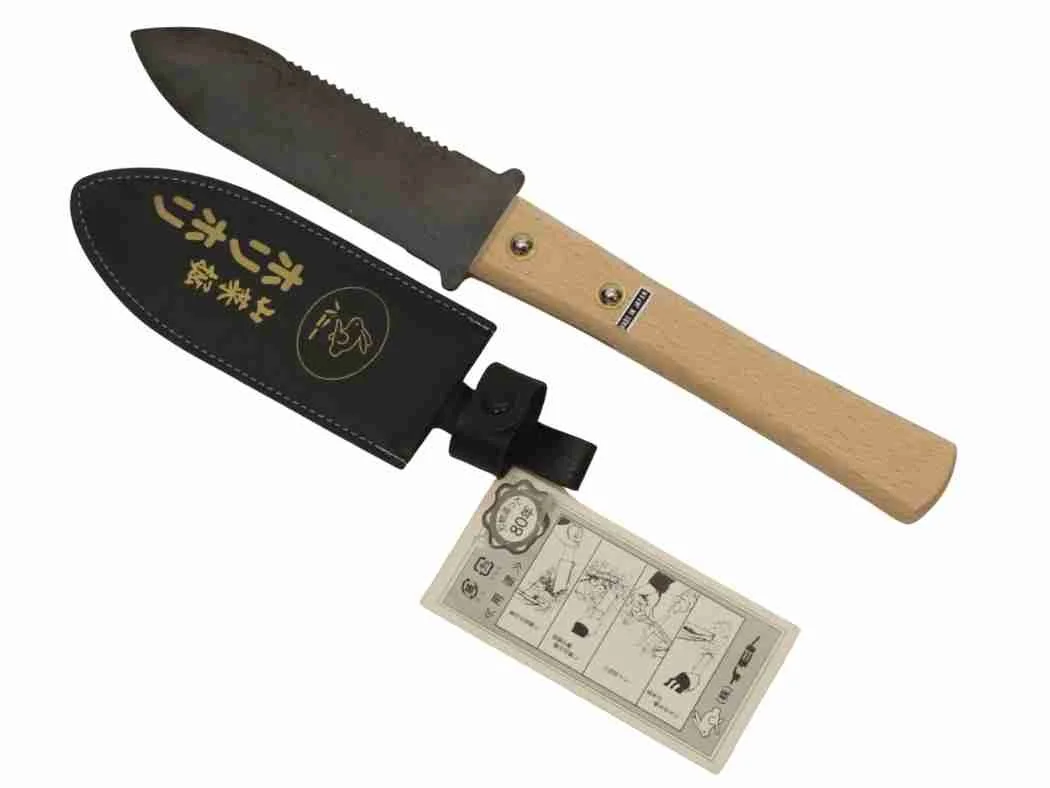Hori.jpg