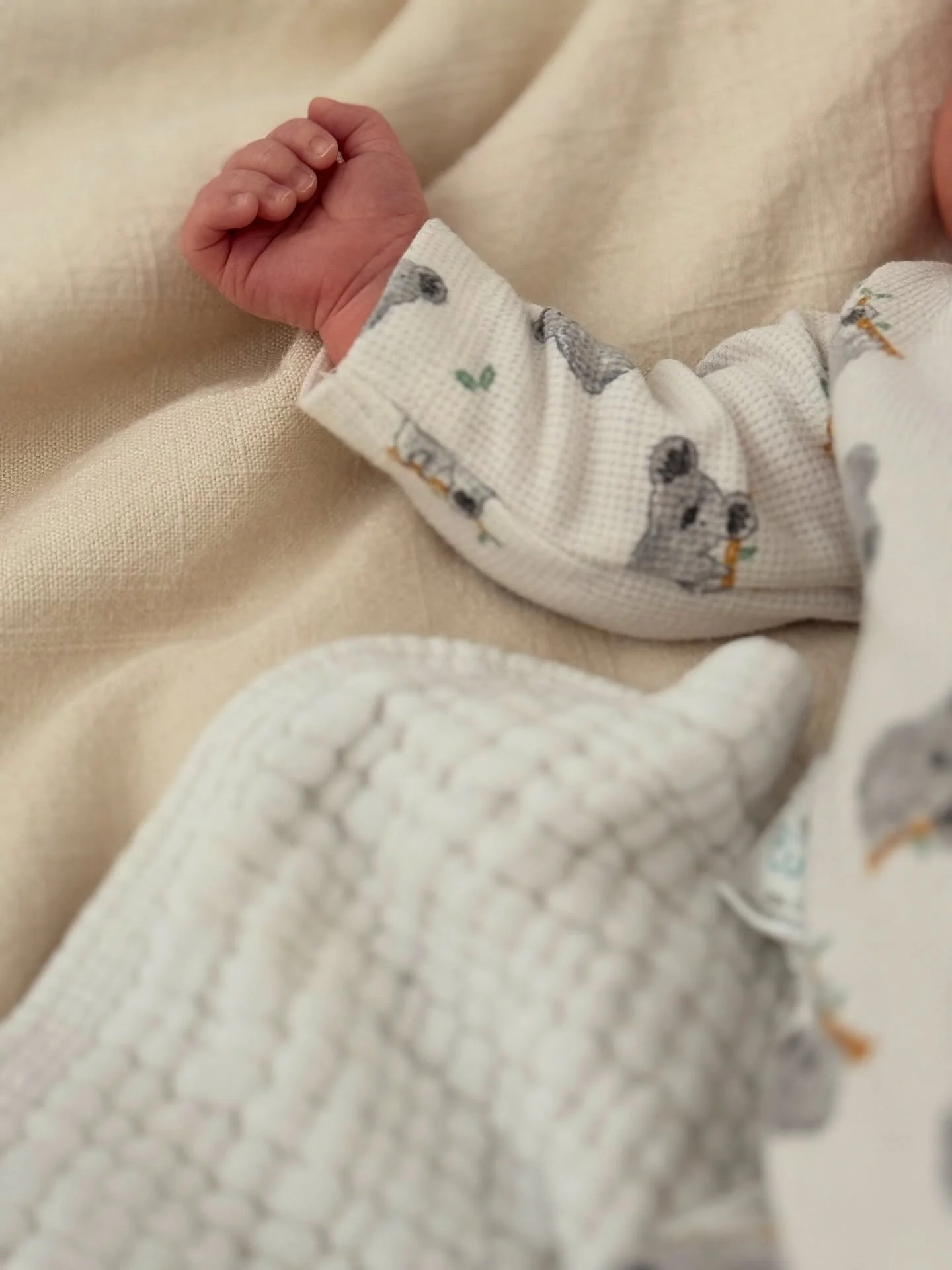 Spring rolled into summer without a pause. Life with three littles may be more exhausting than an Ironman.
Just like that we&rsquo;re finding our way as an updated family.
Even as seasoned parents we are still facing new challenges with each passing 