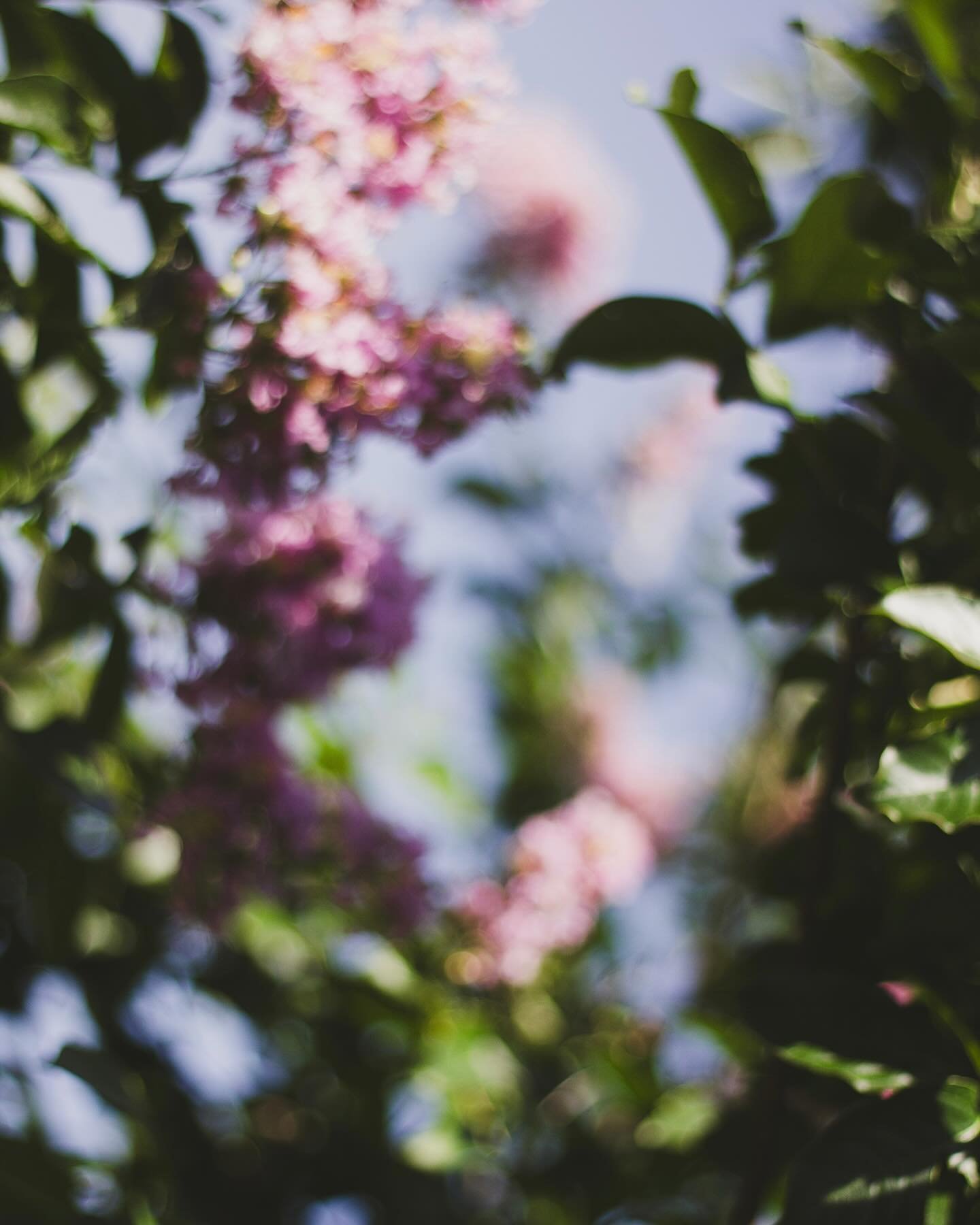 &rdquo;be gentle to
every thing alive;
let kindness be your courage
(read the earth&rsquo;s colors 
&amp; let beauty bleed into your
soul)&mdash;
&mdash;so that you can find
magic 
in every blade
of grass,
magic 
in every freesia petal,
so that you c