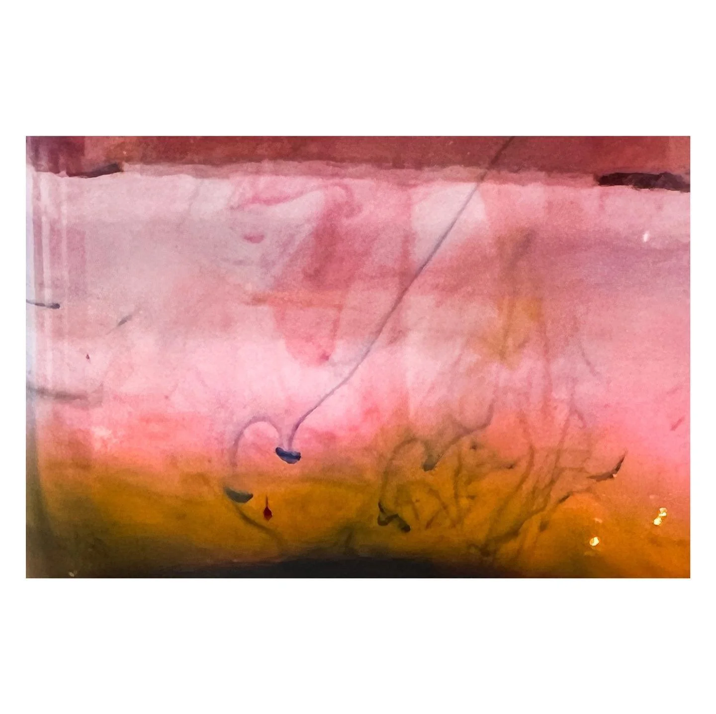 When a failed science project turned into lemonade 😍 Note to self: buy liquid food coloring ☺️ #dfpcommunity #thedocumentarymovement #documentyourdays #homeschoollife #photographyart