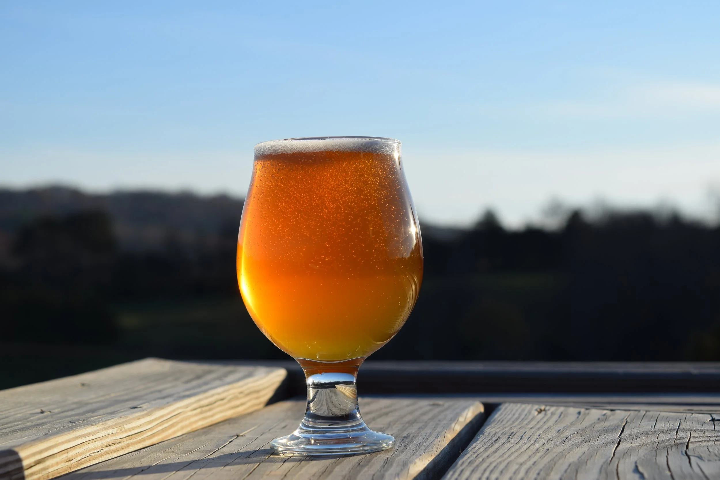 Drink — Bald Top Brewing Co.