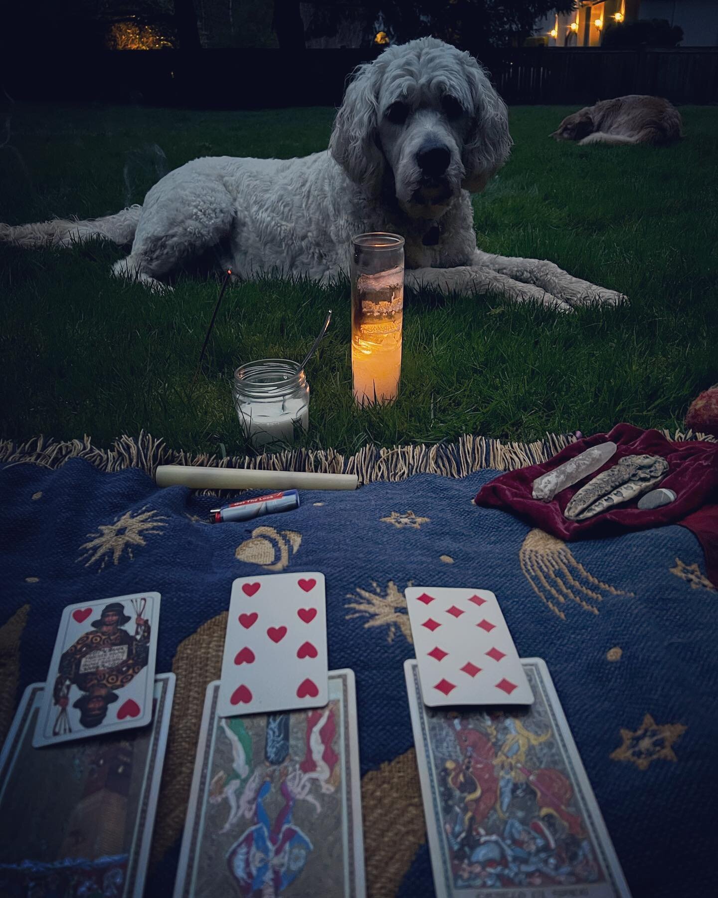 Beltane Blessings ⭐️🌞🔥 5am ceremony, welcoming, and tarot reading! Wishing you all luck, abundance, and happiness with this coming spring/ summer 🌱