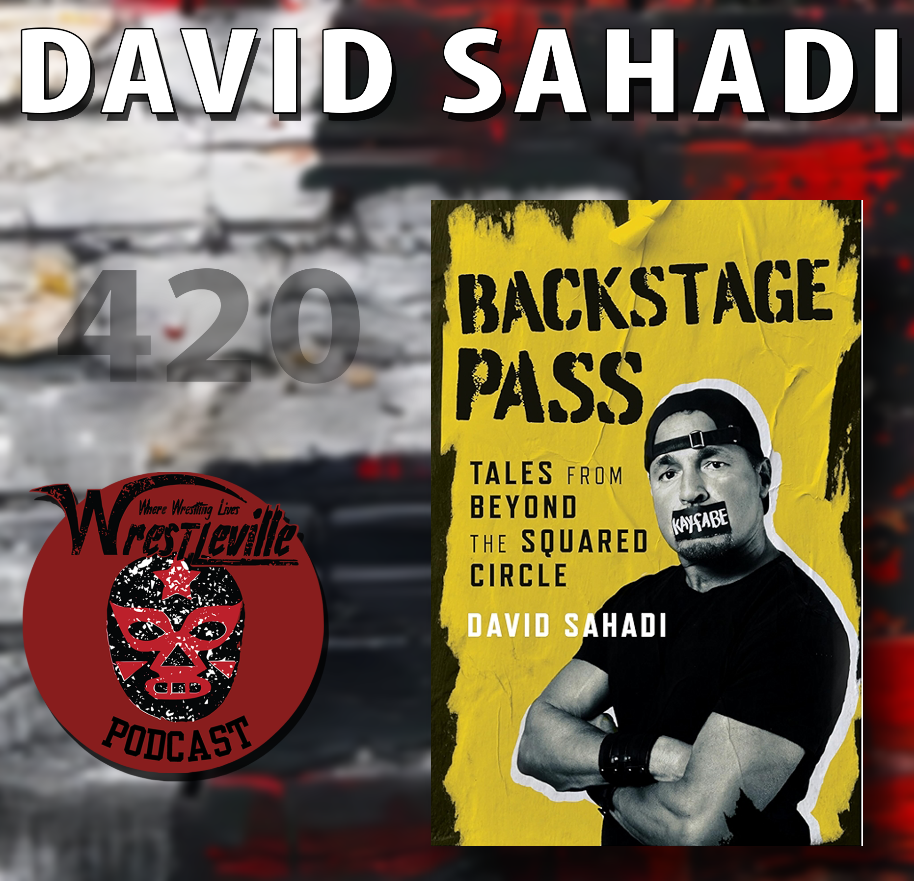 Wrestleville: David Sahadi