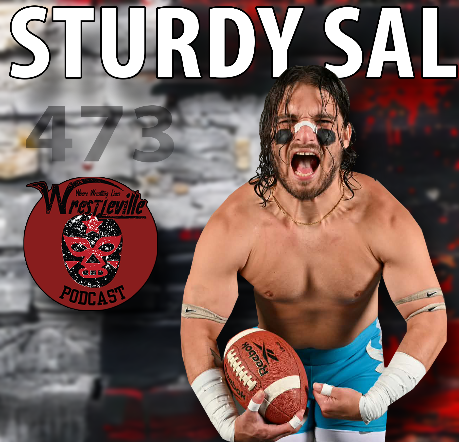 Wrestleville: Sturdy Sal