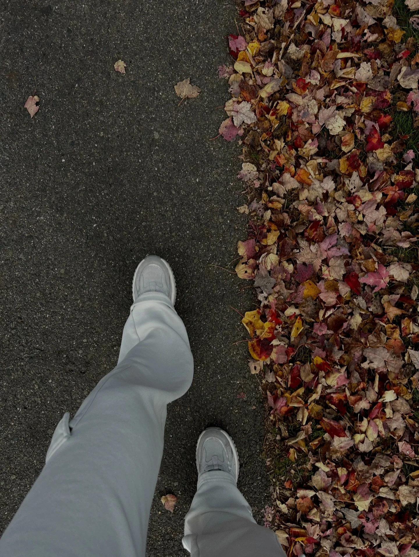 a touch of fall 🍂🧡