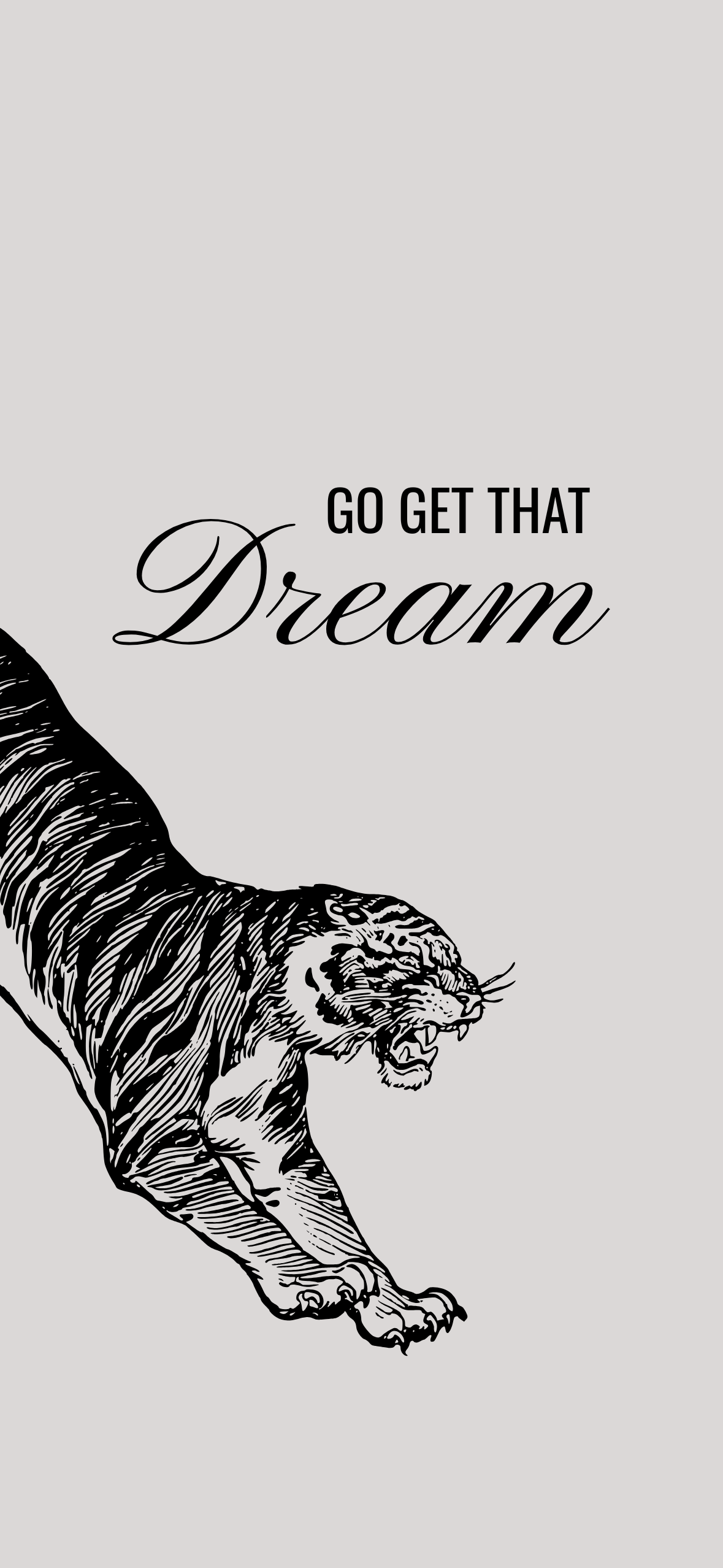 Go Get That Dream.png