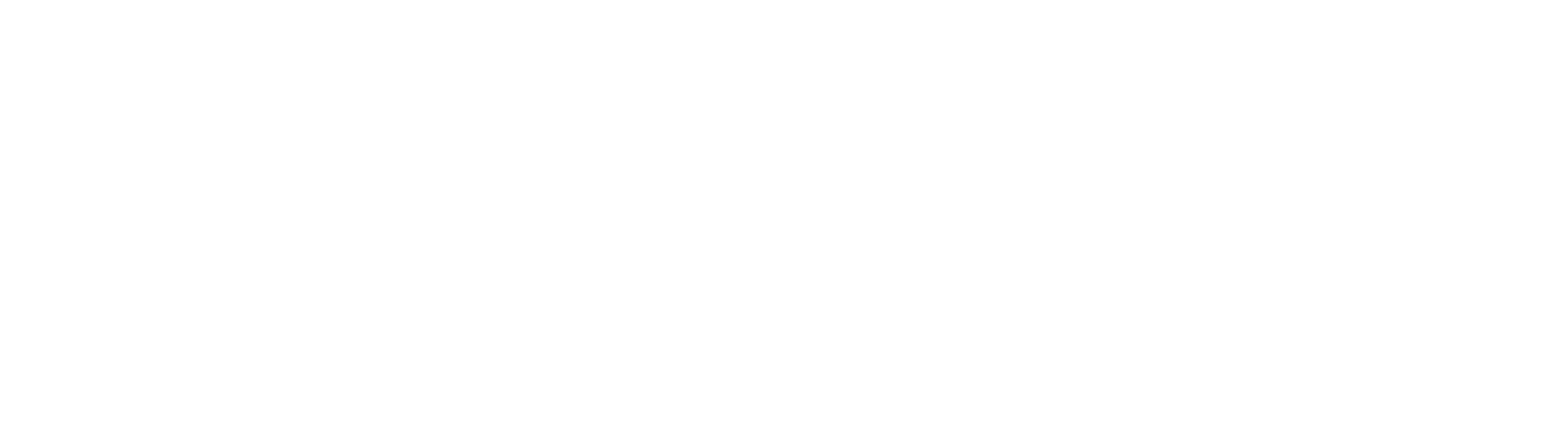 VXV
