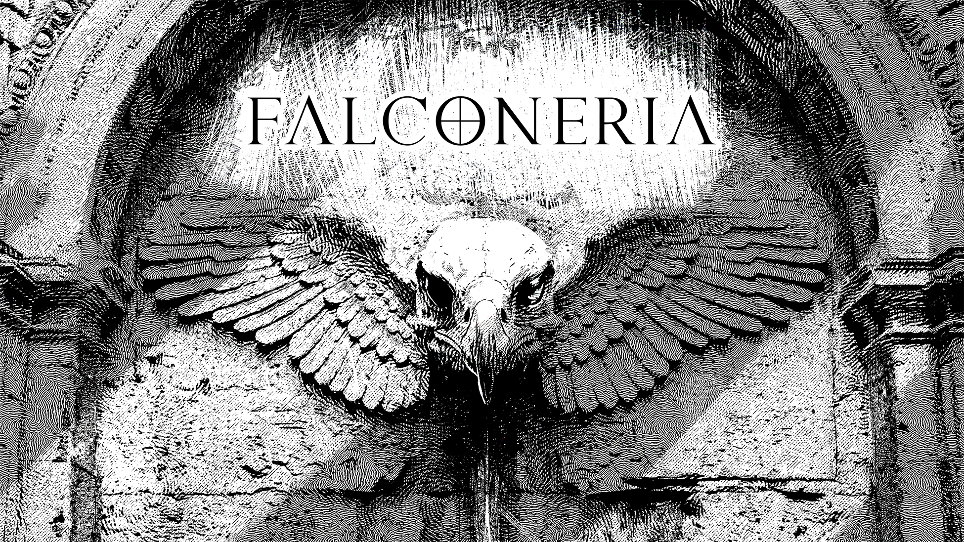 THE COVER