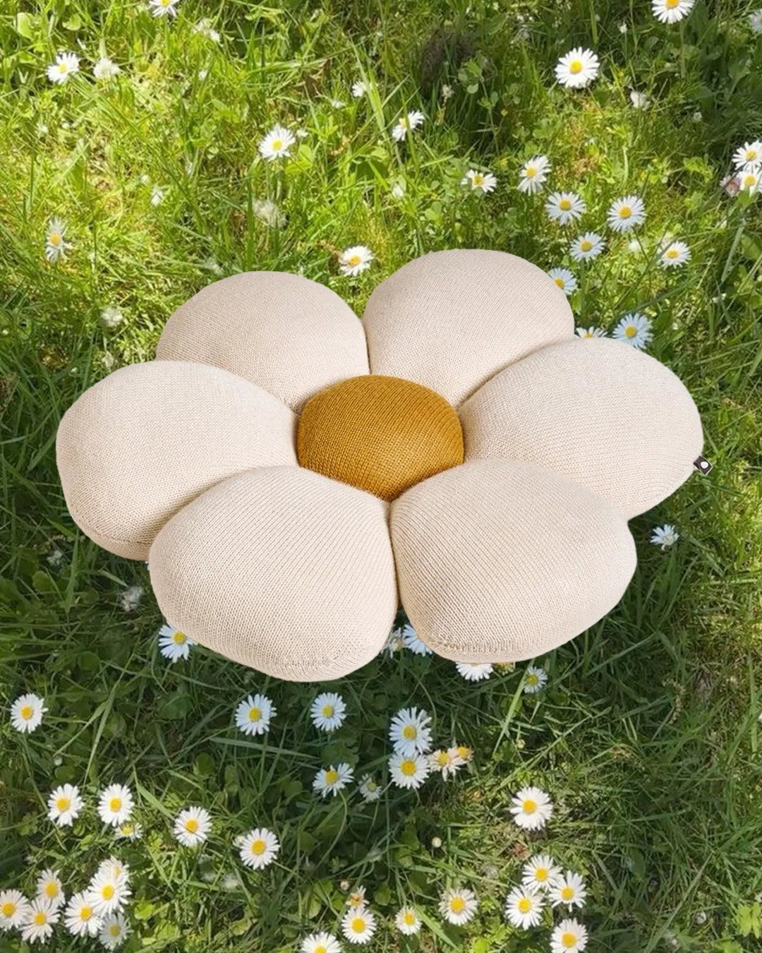 daisy-bis-insta.jpg