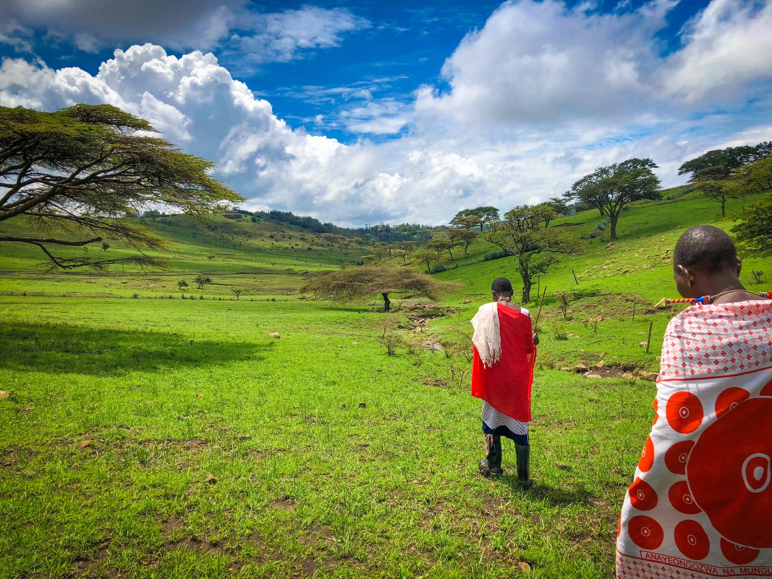 Two people dressed in traditional Maasai clothing walking across a lush green landscape with scattered trees and rolling hills under a partly cloudy sky.