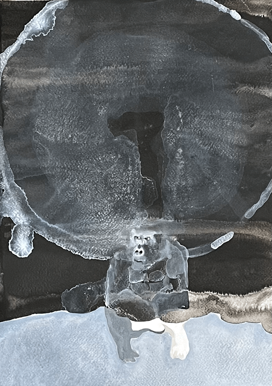 tempImagegkbP6d.gif