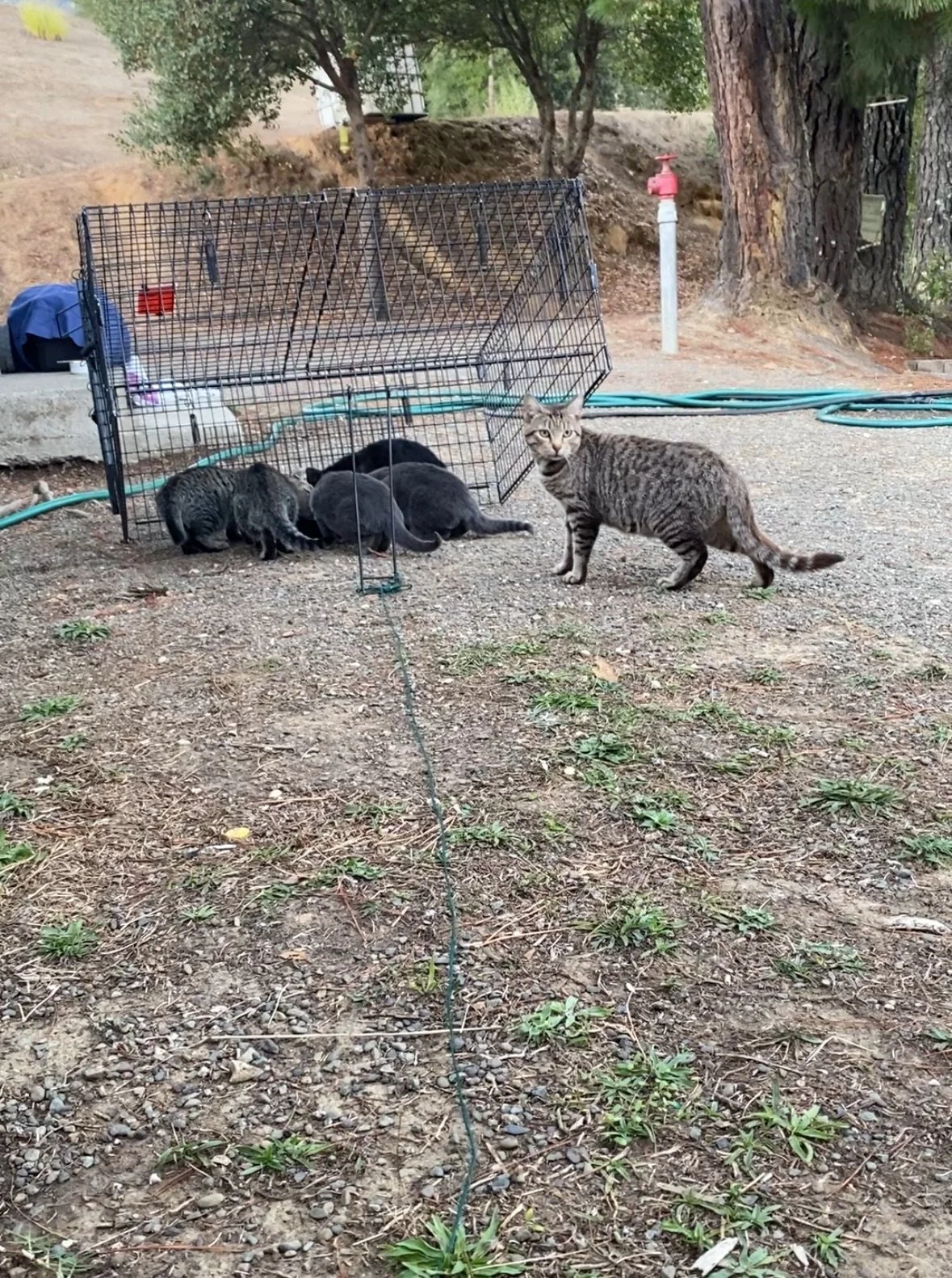 View recent photos.jpeg