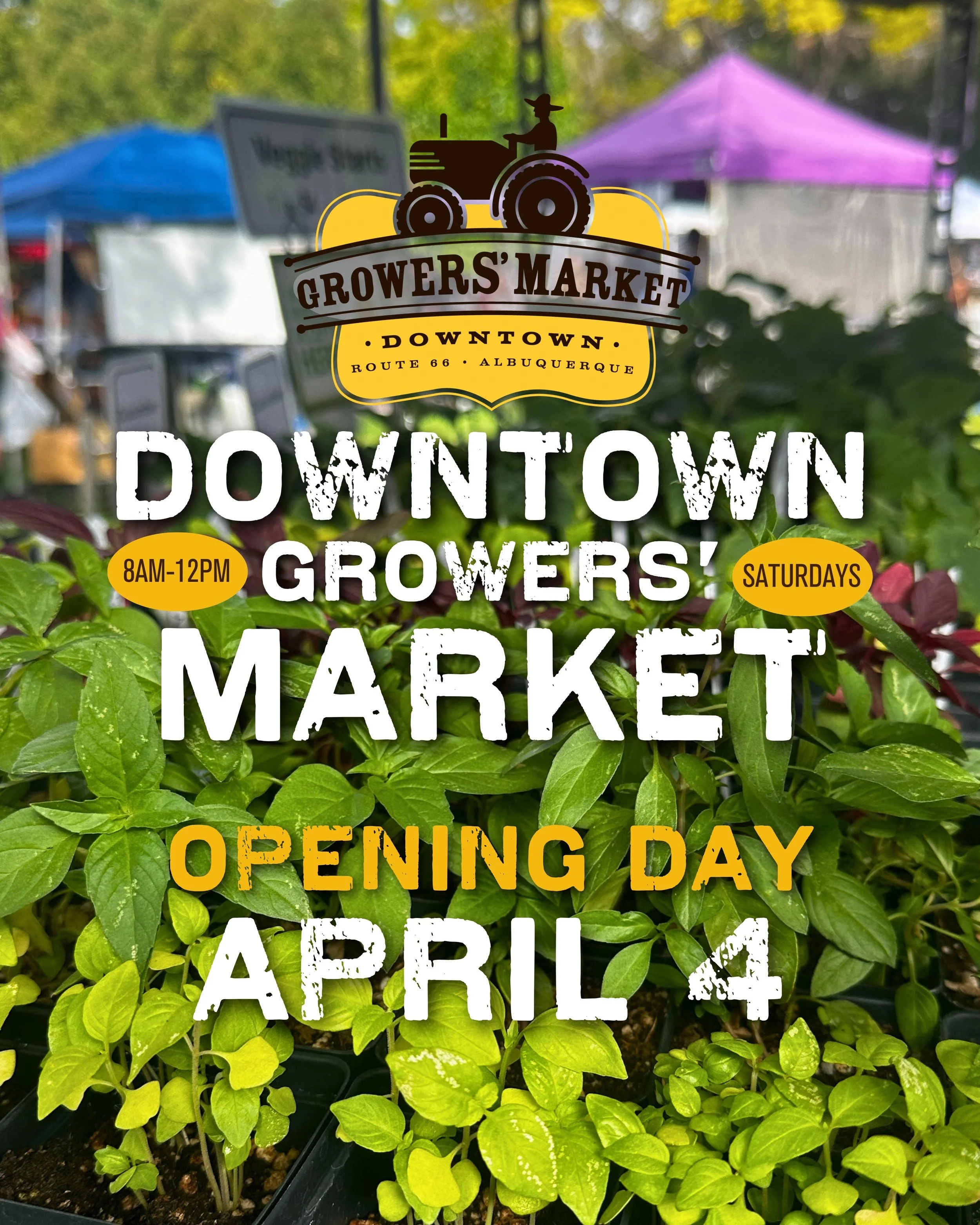 Opening Day- Downtown Growers Market 