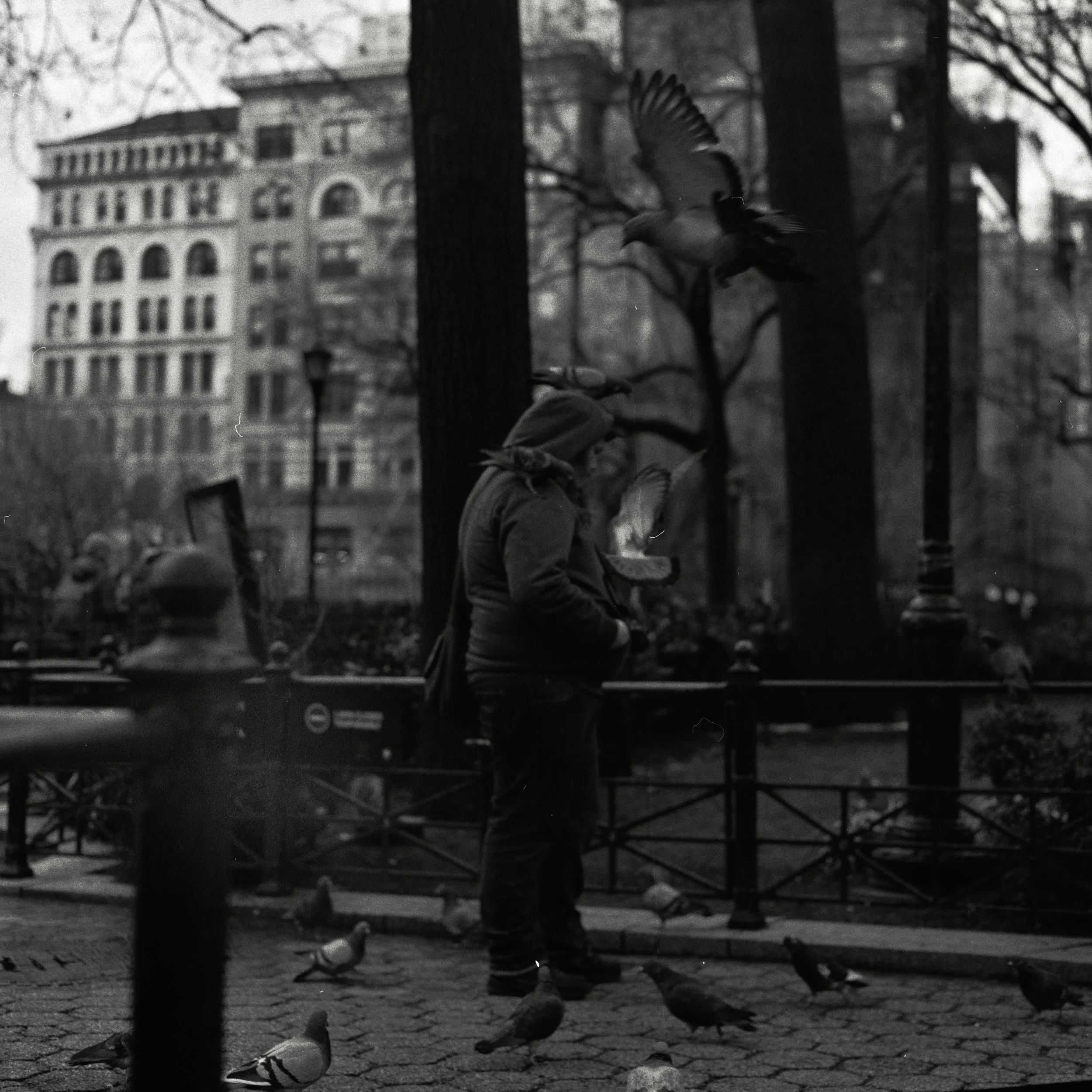 Shot on Hasselblad Medium Format