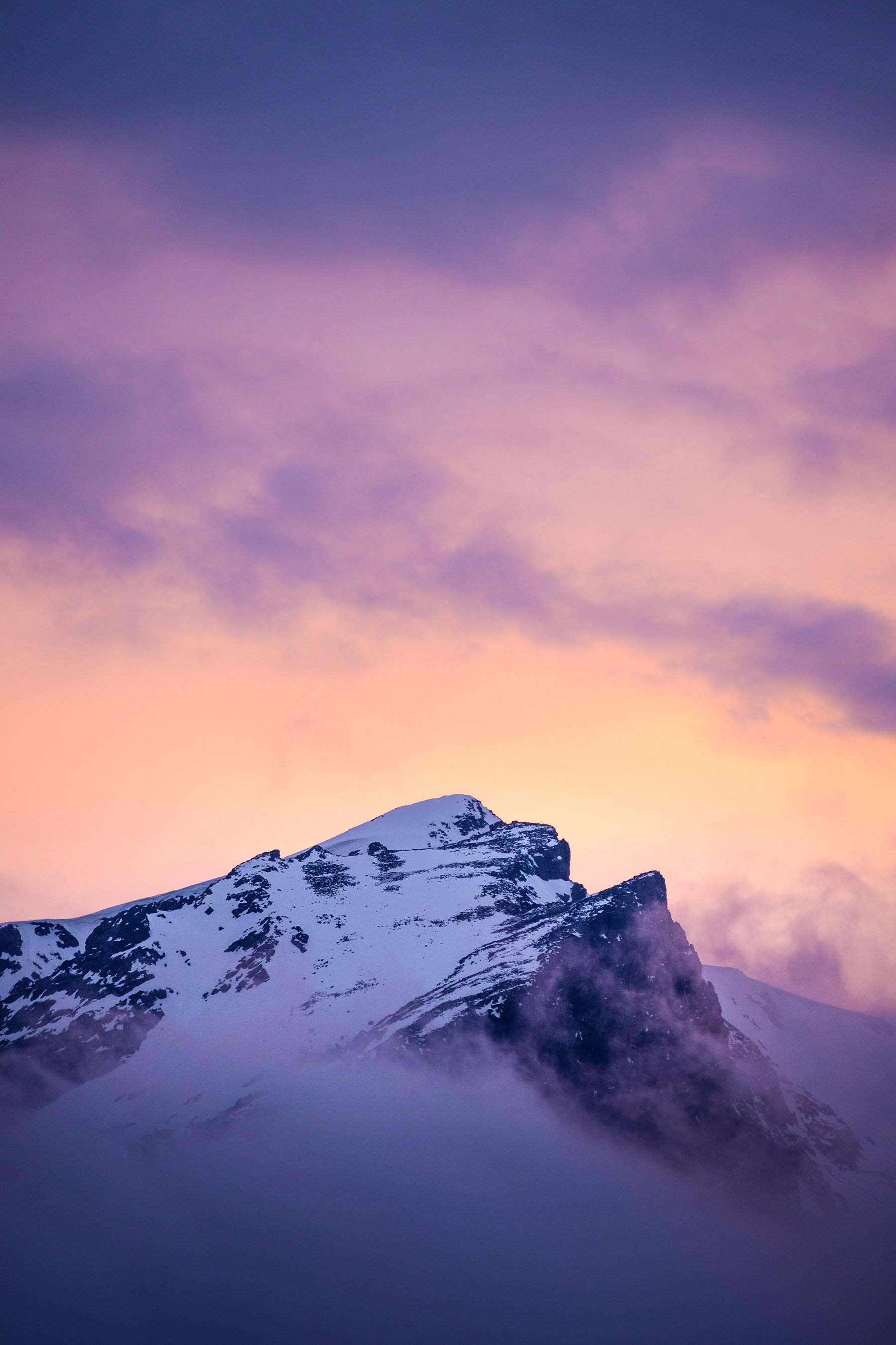 DSC_0303-2.jpg