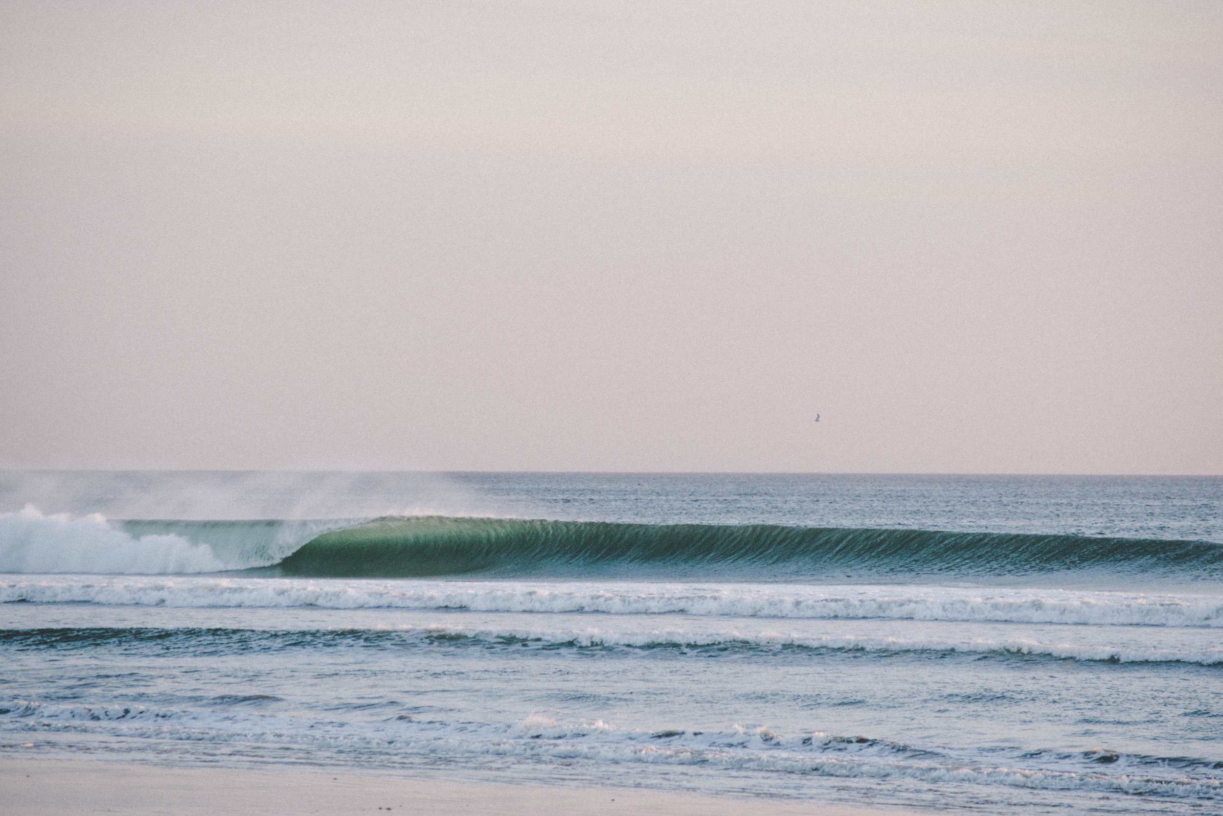 DSC_0583.jpg