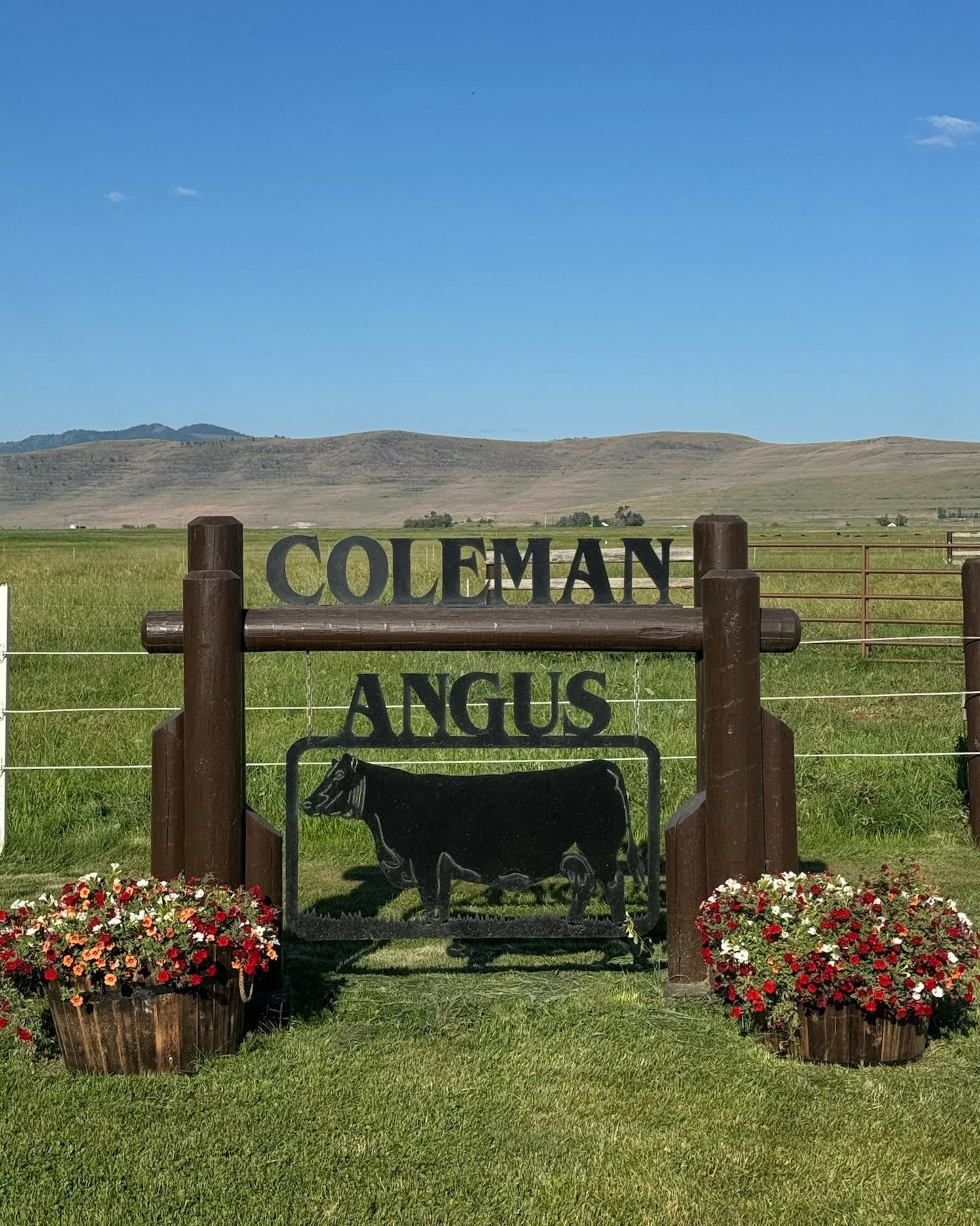 Coleman Angus, Royden