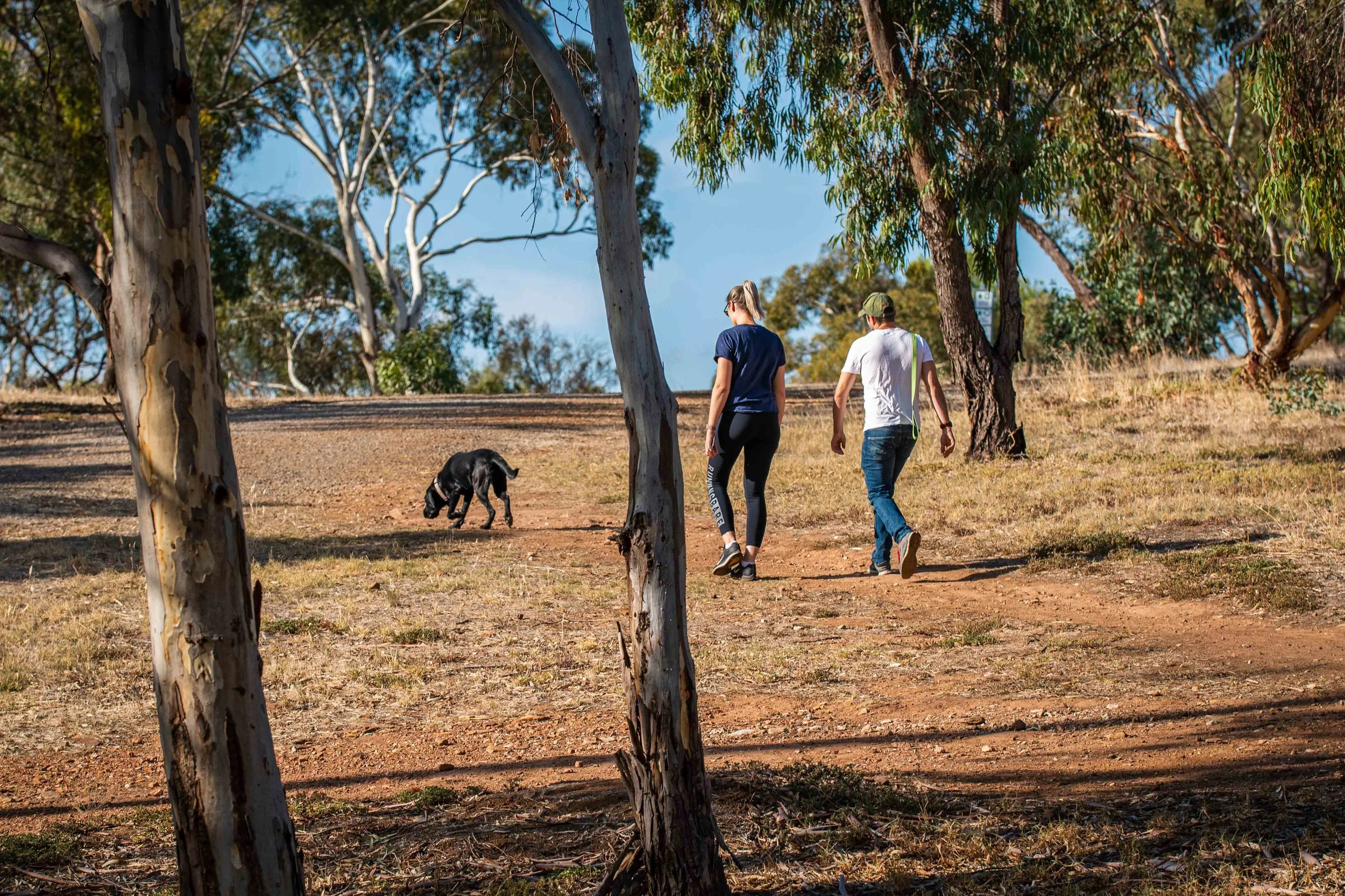 Website re-edit 9-1.jpg