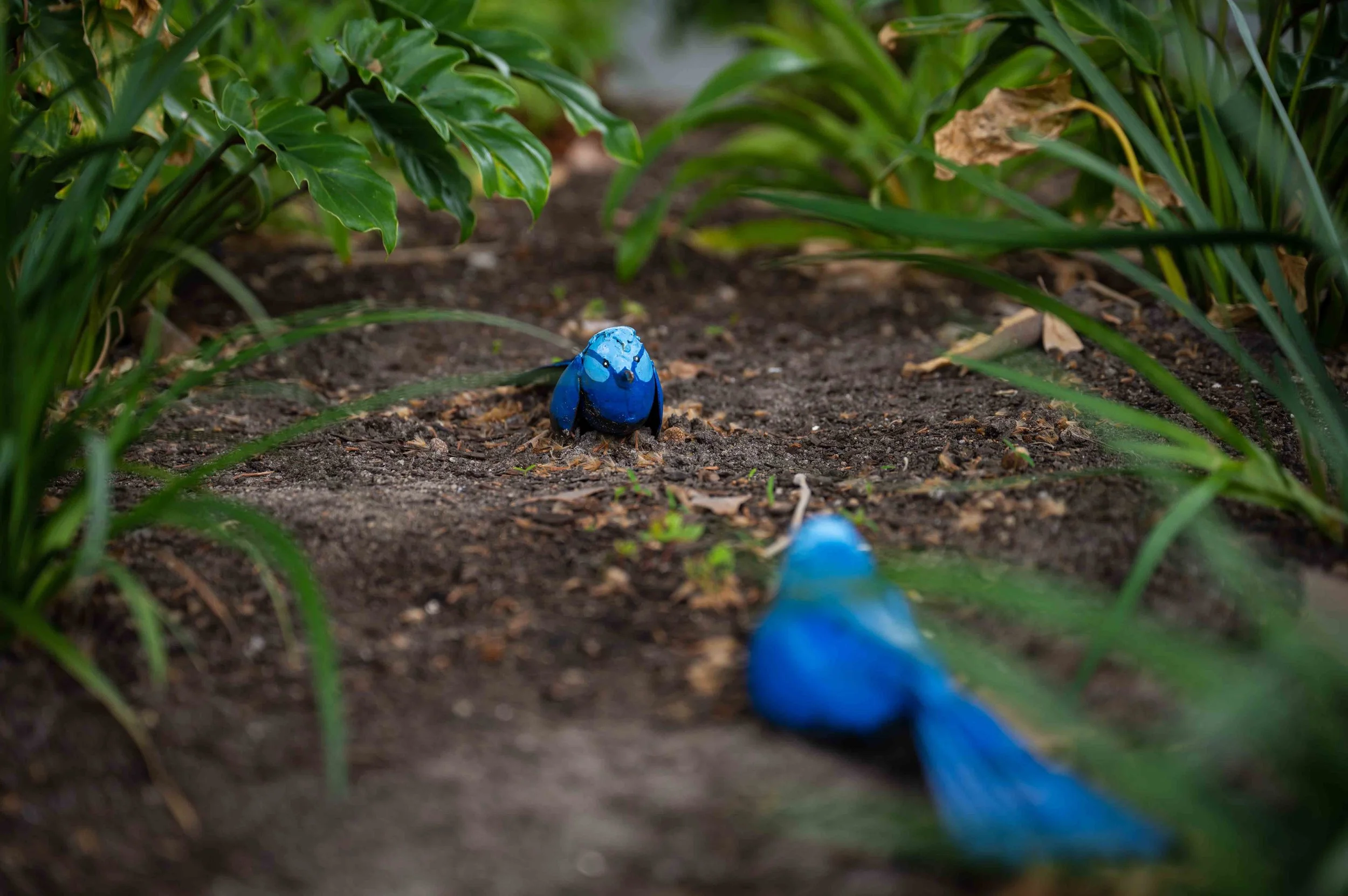 SpacetoCo Day 1-114_1.jpg