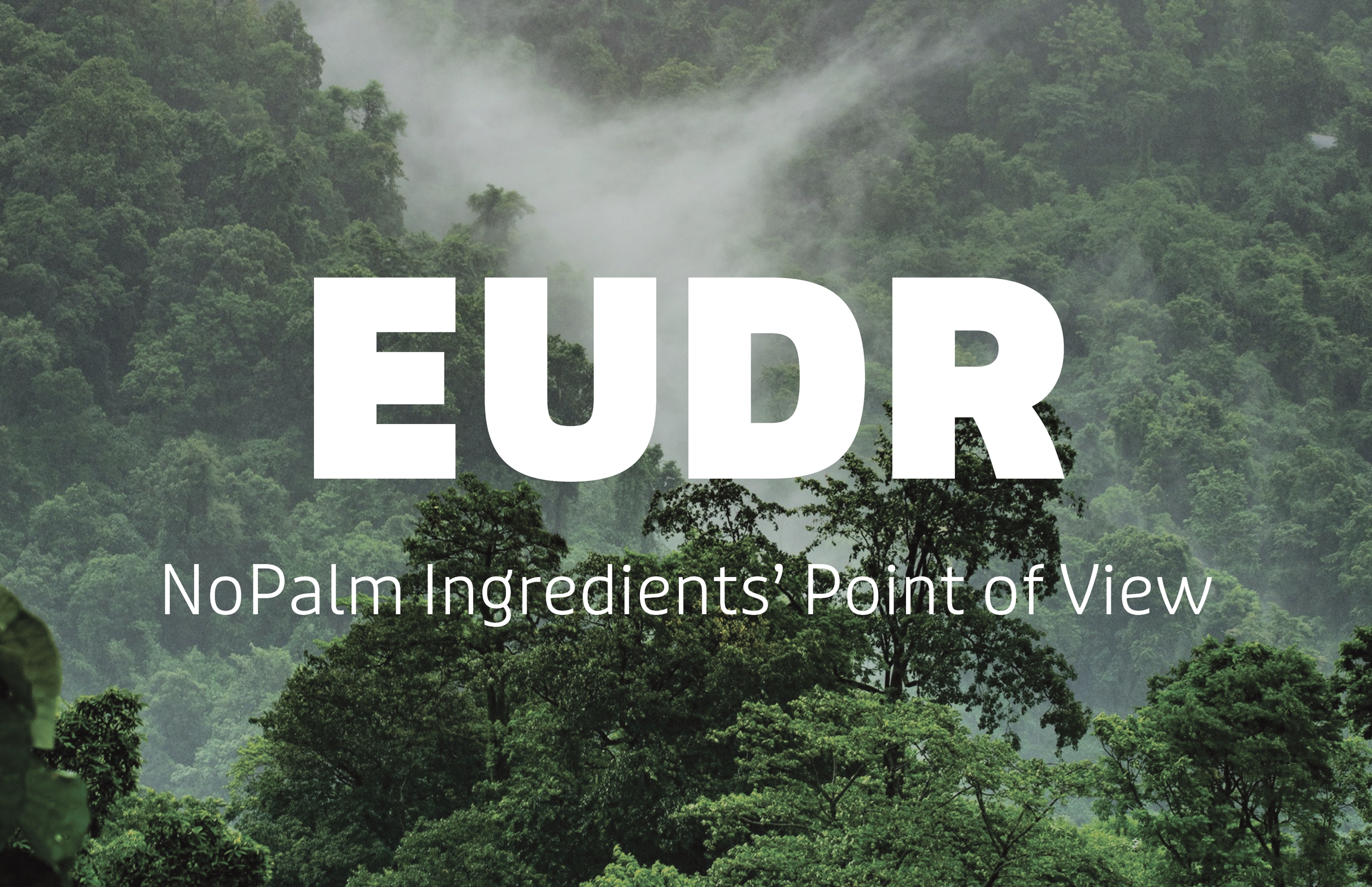 Our Perspective on EUDR: Why Proactive Management Defines Tomorrow’s Leaders&nbsp;