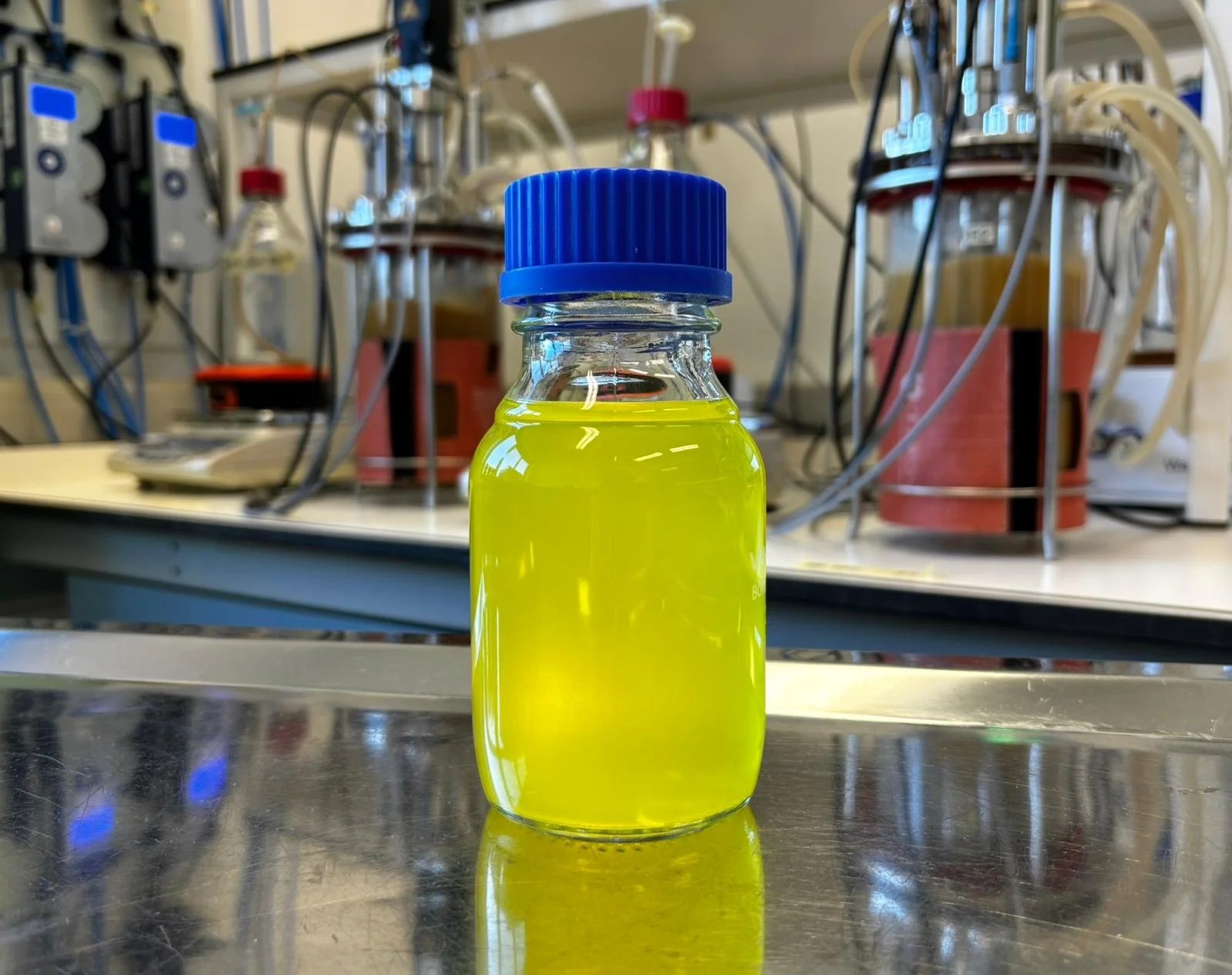 The Potential of Upcycling Food Industry By-Products