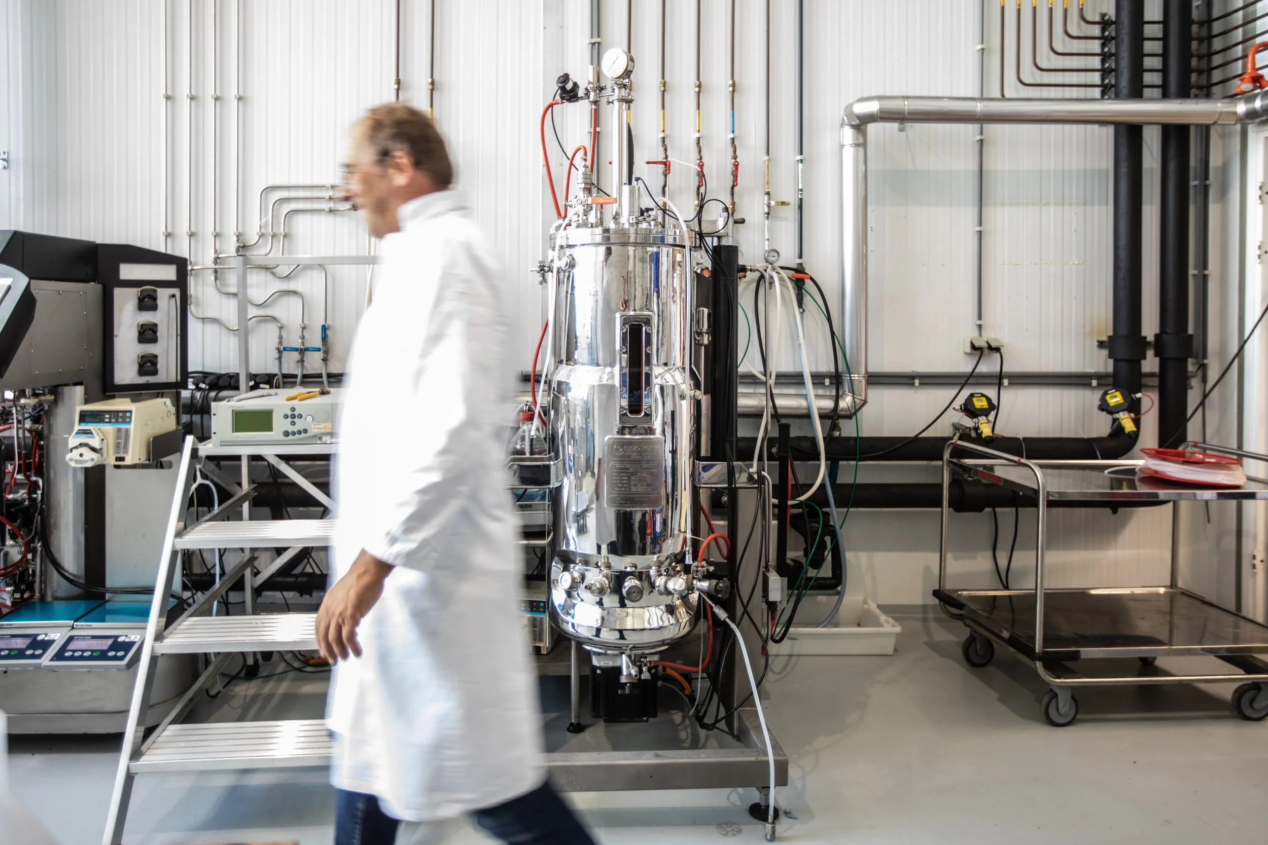 Future-proofing the food system with palm oil, without palm trees.