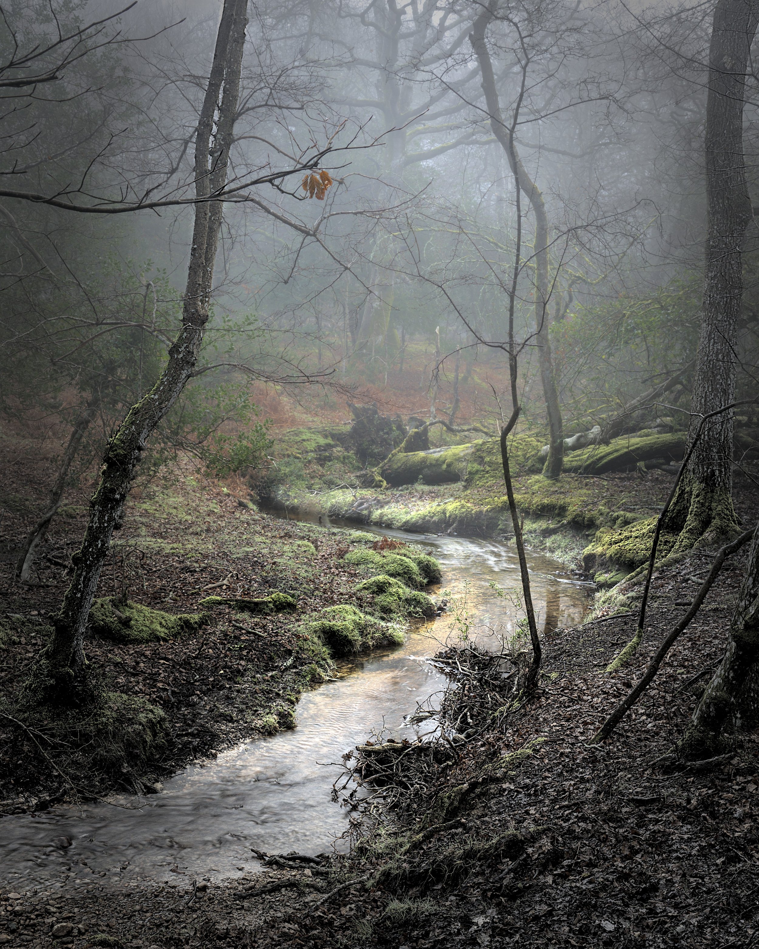 DSC_3678.jpg
