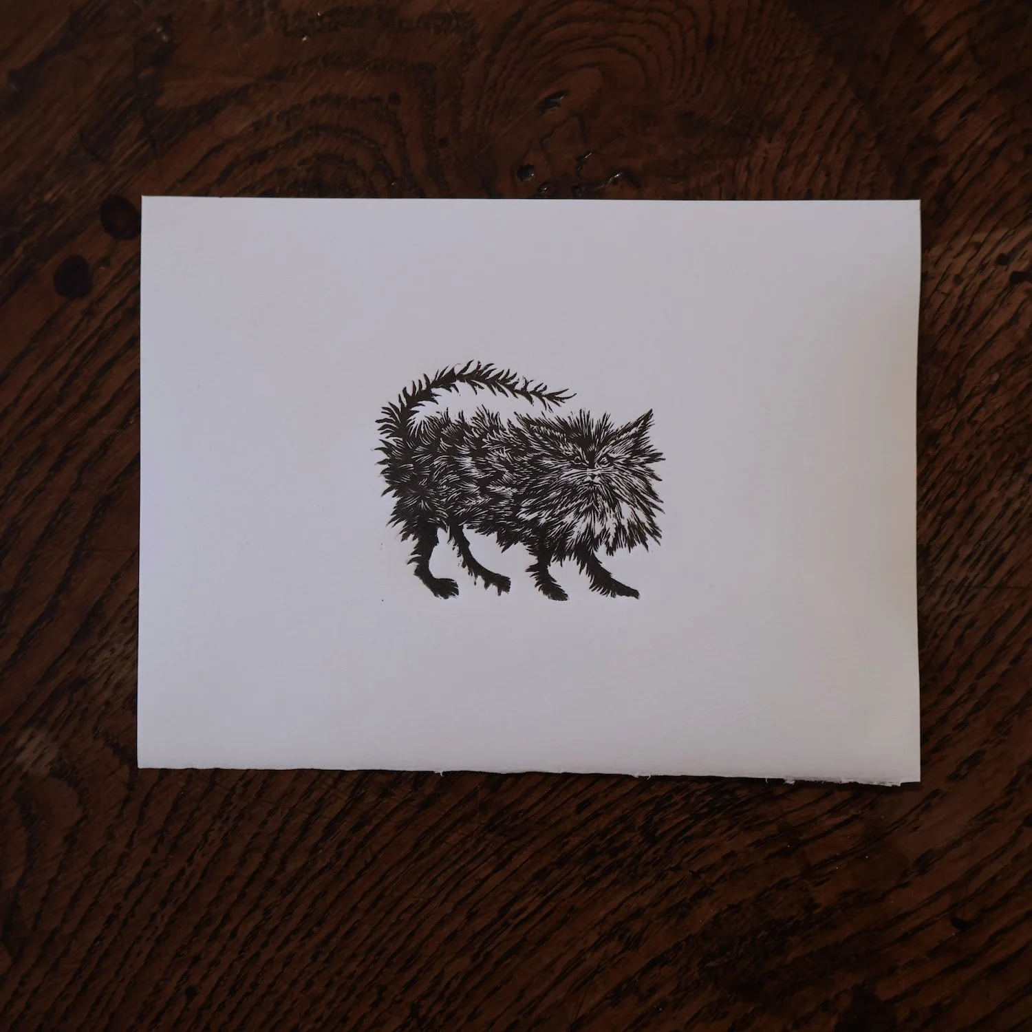 Smelly Cat - Wood engraving, Richard Studer