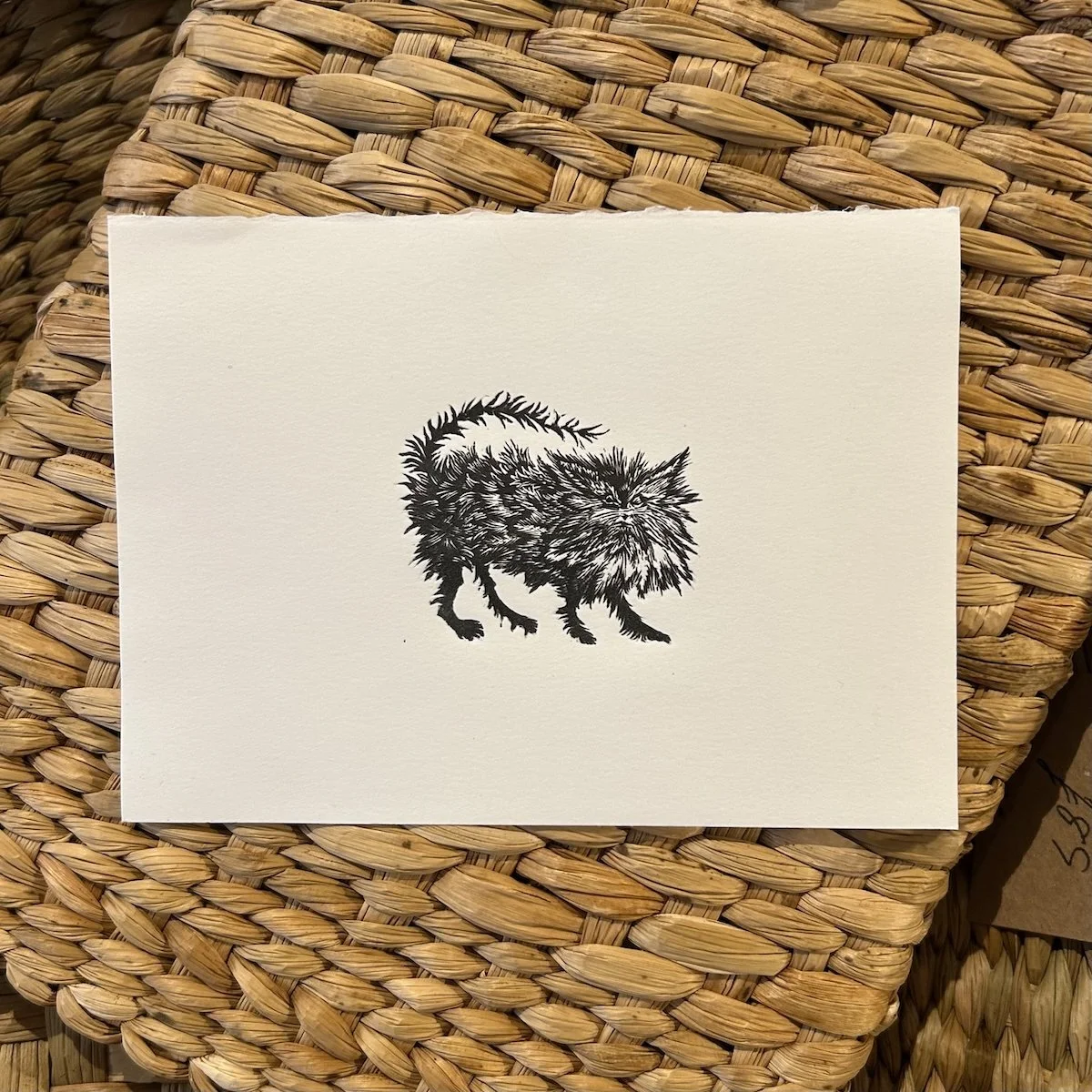 Smelly Cat - Wood engraving, Richard Studer