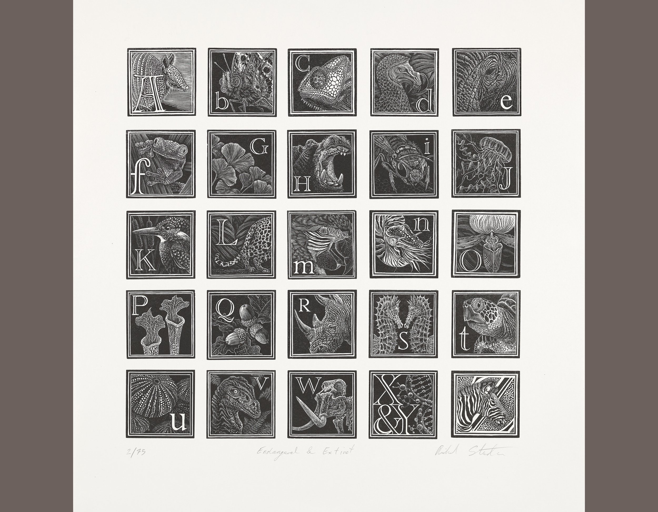 engravers alphabet squarespace.jpg