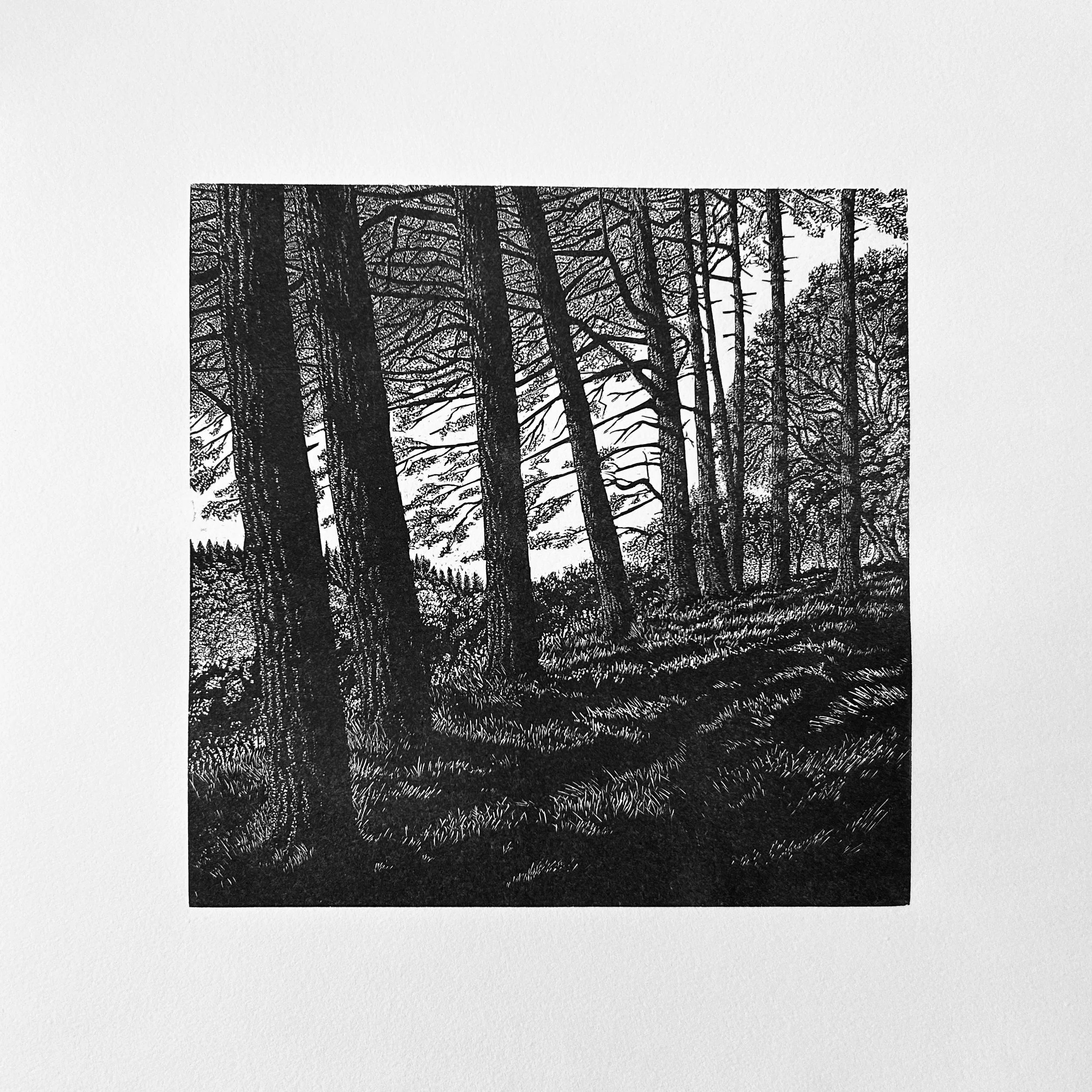 Studer, Richard. Hergest Pines. Wood Engraving .jpg