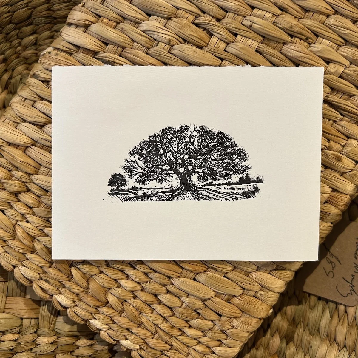 The Oak - Wood engraving, Limited edition