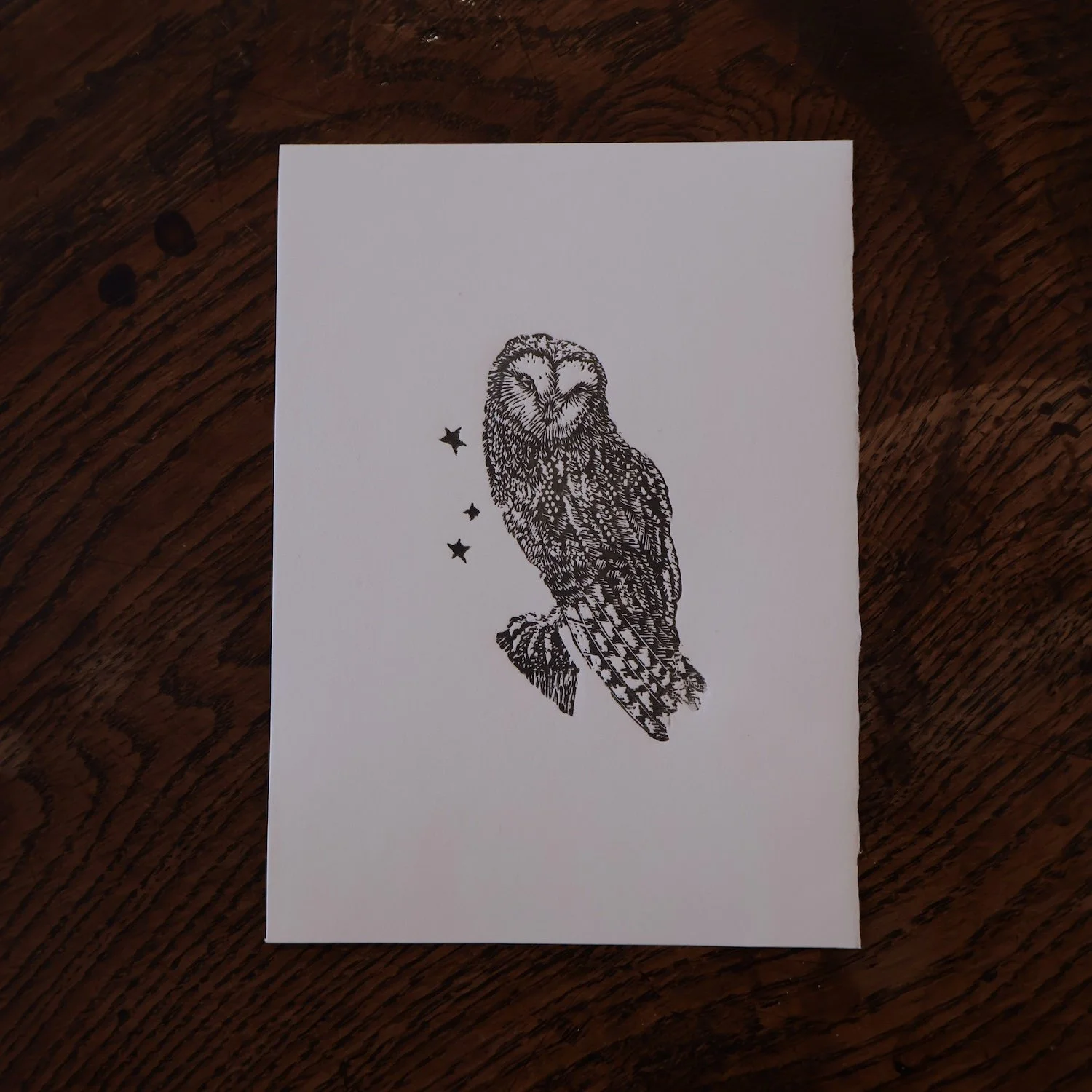 The Owl - Wood engraving, Limited edition 70mmx45mm