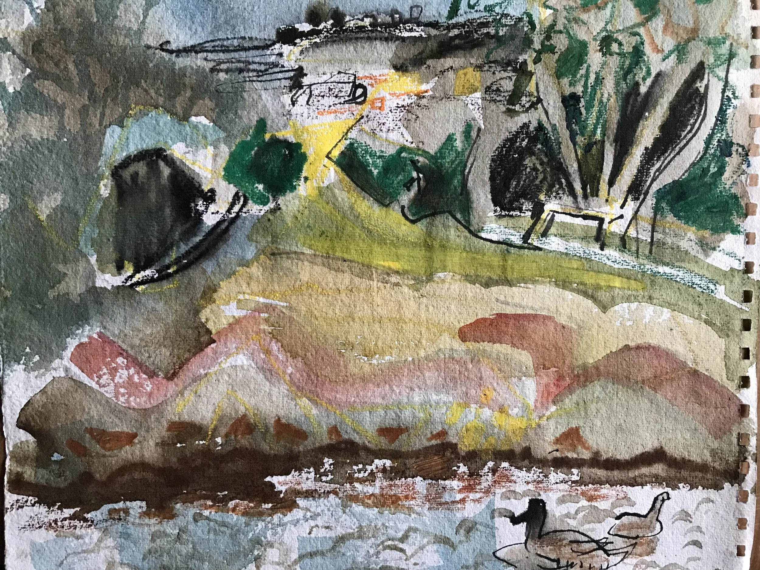 Swimming with Ducks, the Wye, July '22