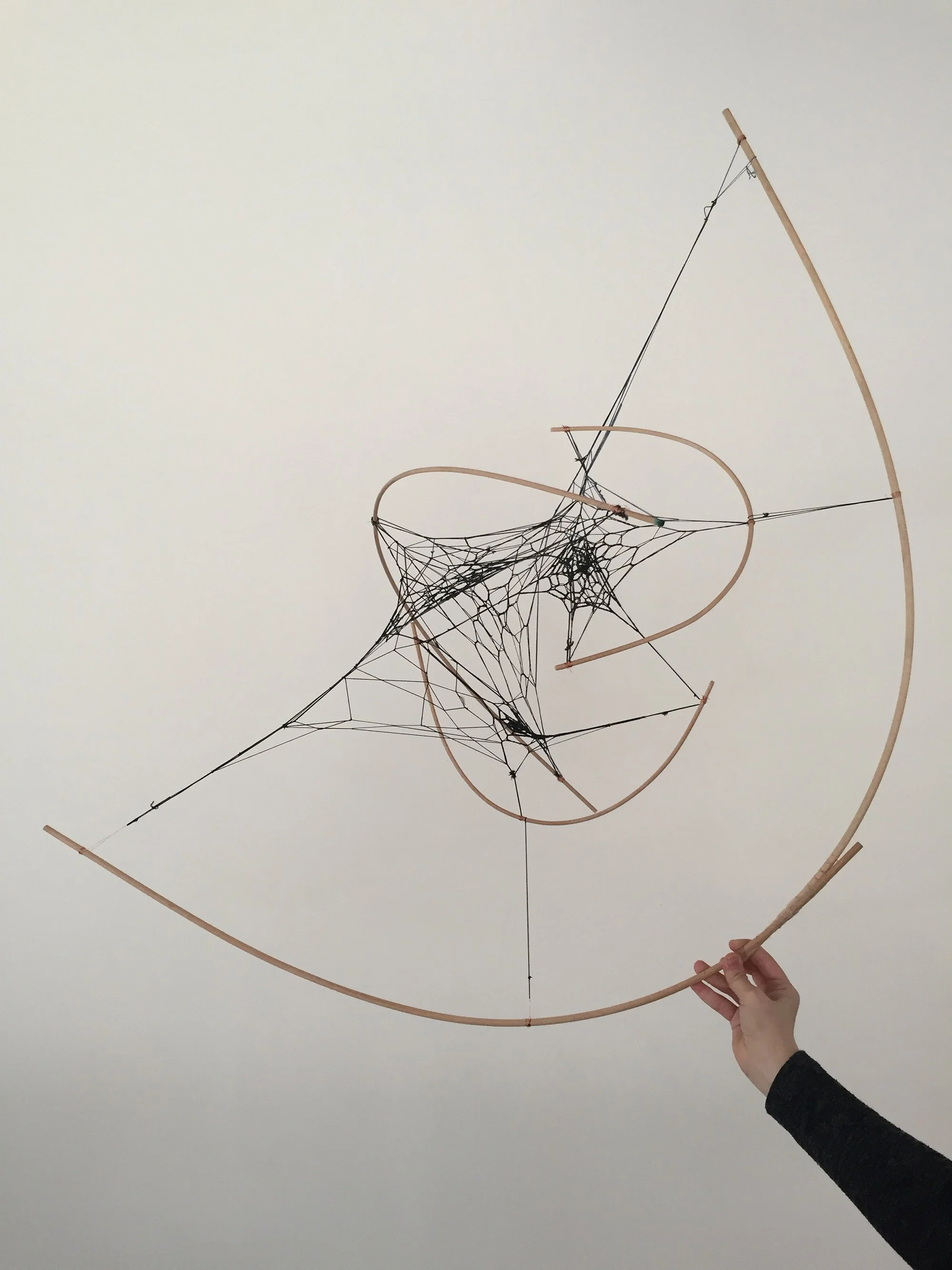 TENSILE MODELS (Copy)