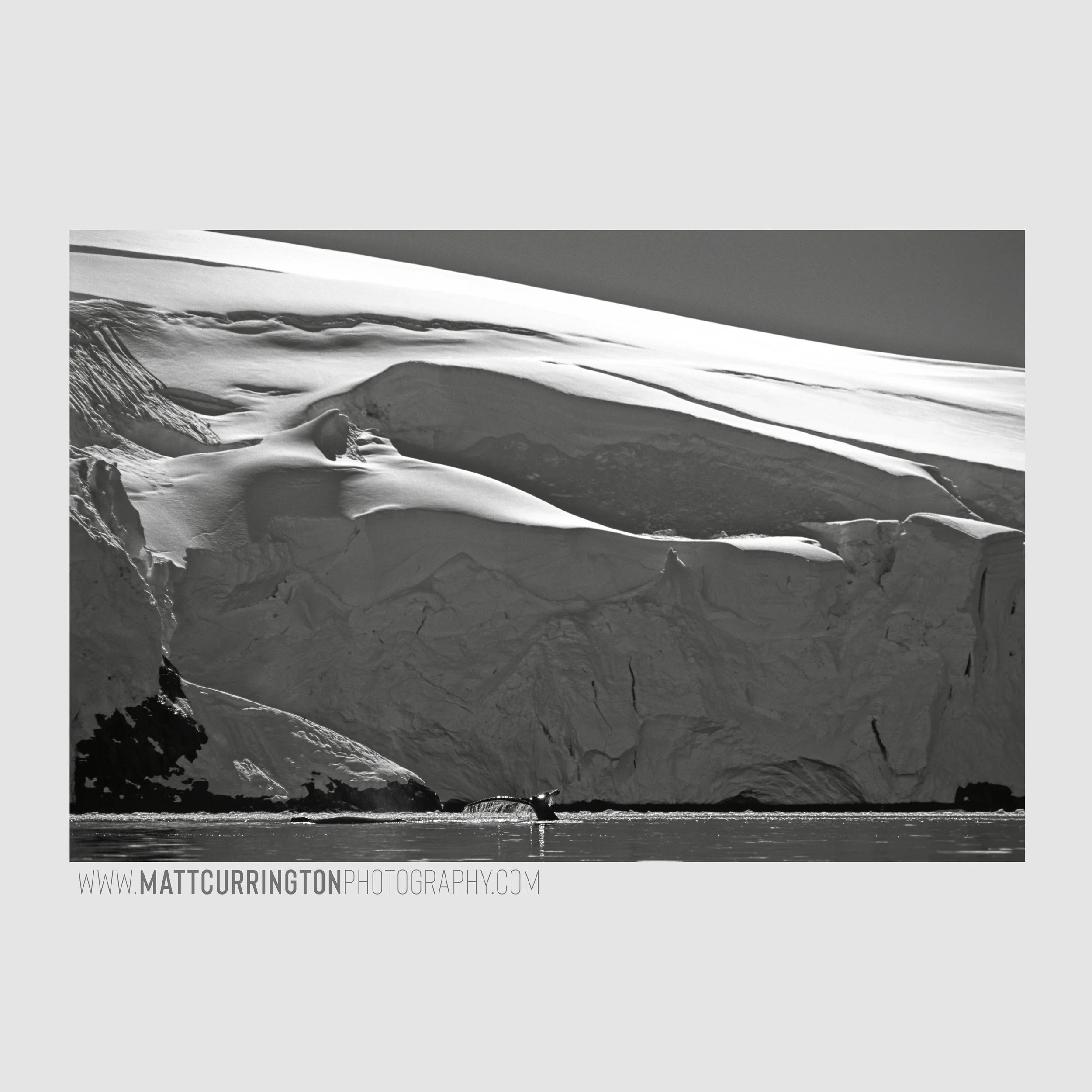 Insta Antarctica _1.jpg