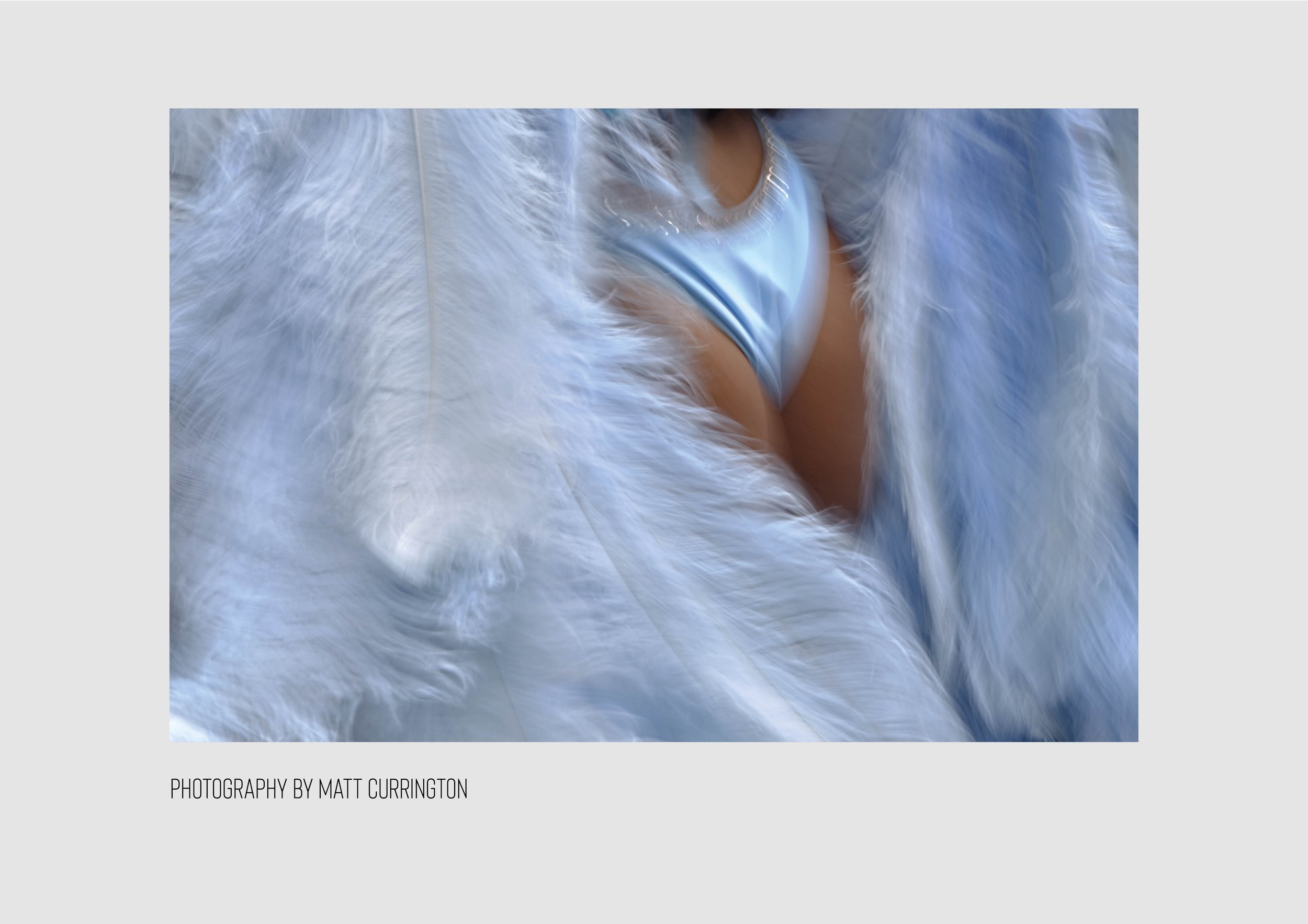 Preview CARNIVAL_31.jpg